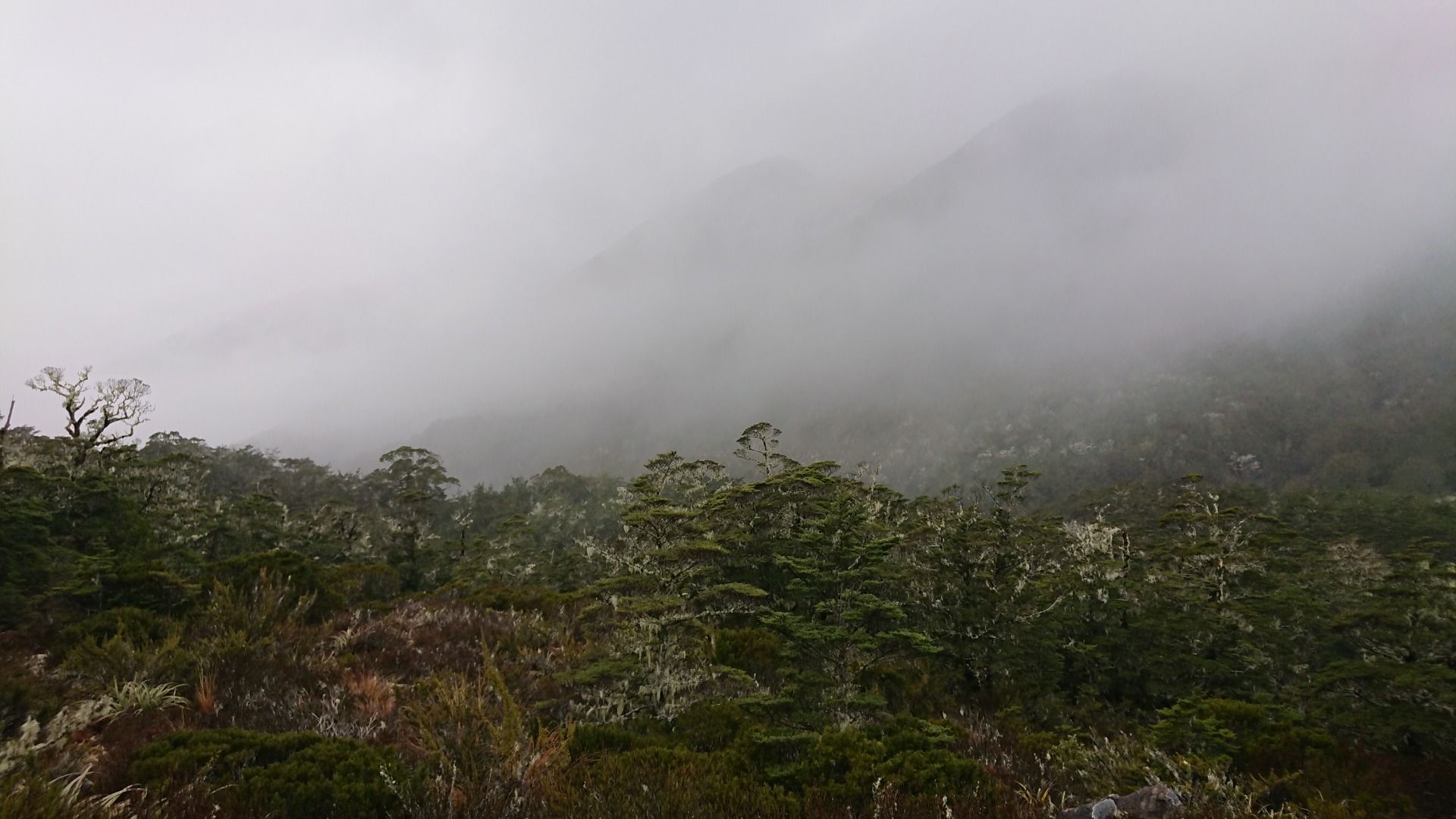 ...then admiring those mountain views, I think they’re there?!