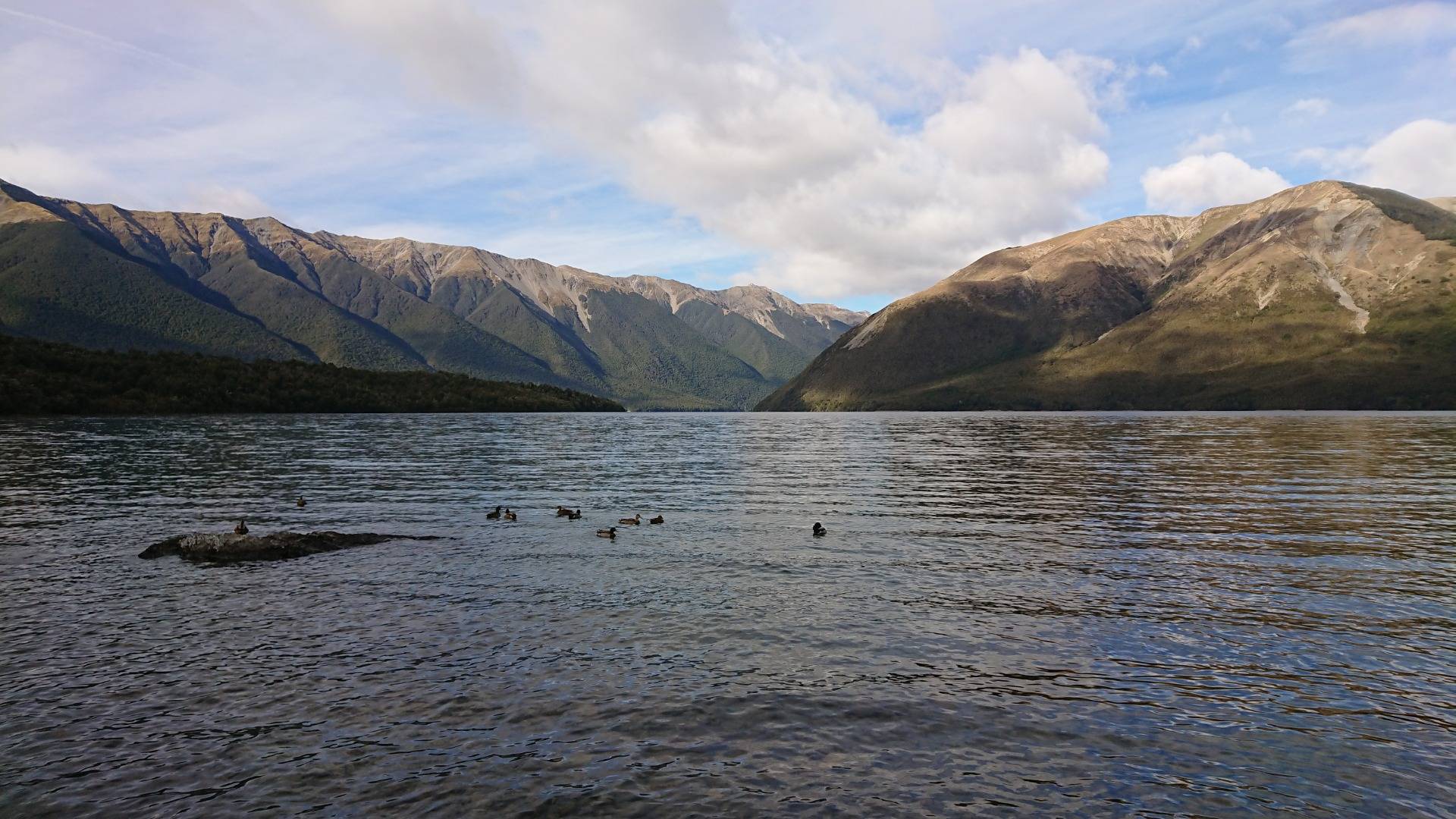 Lake Rotoiti with ducks
