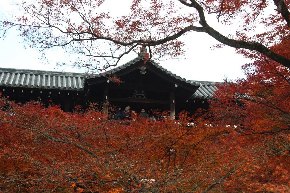 The Spectacular Autumn Leaves In Kyoto, Japan