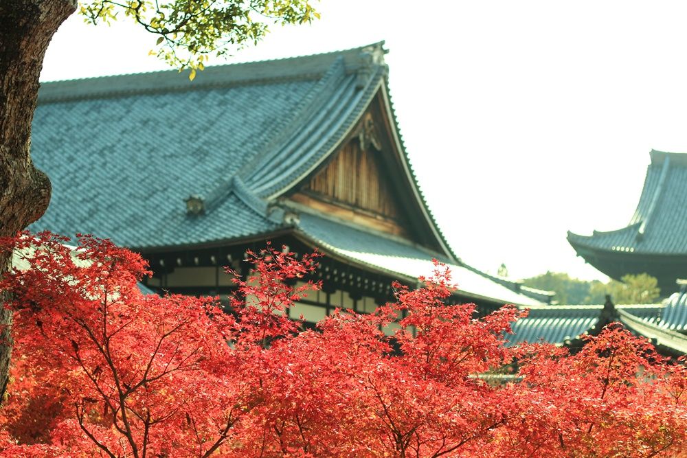 Tofukuji Temple