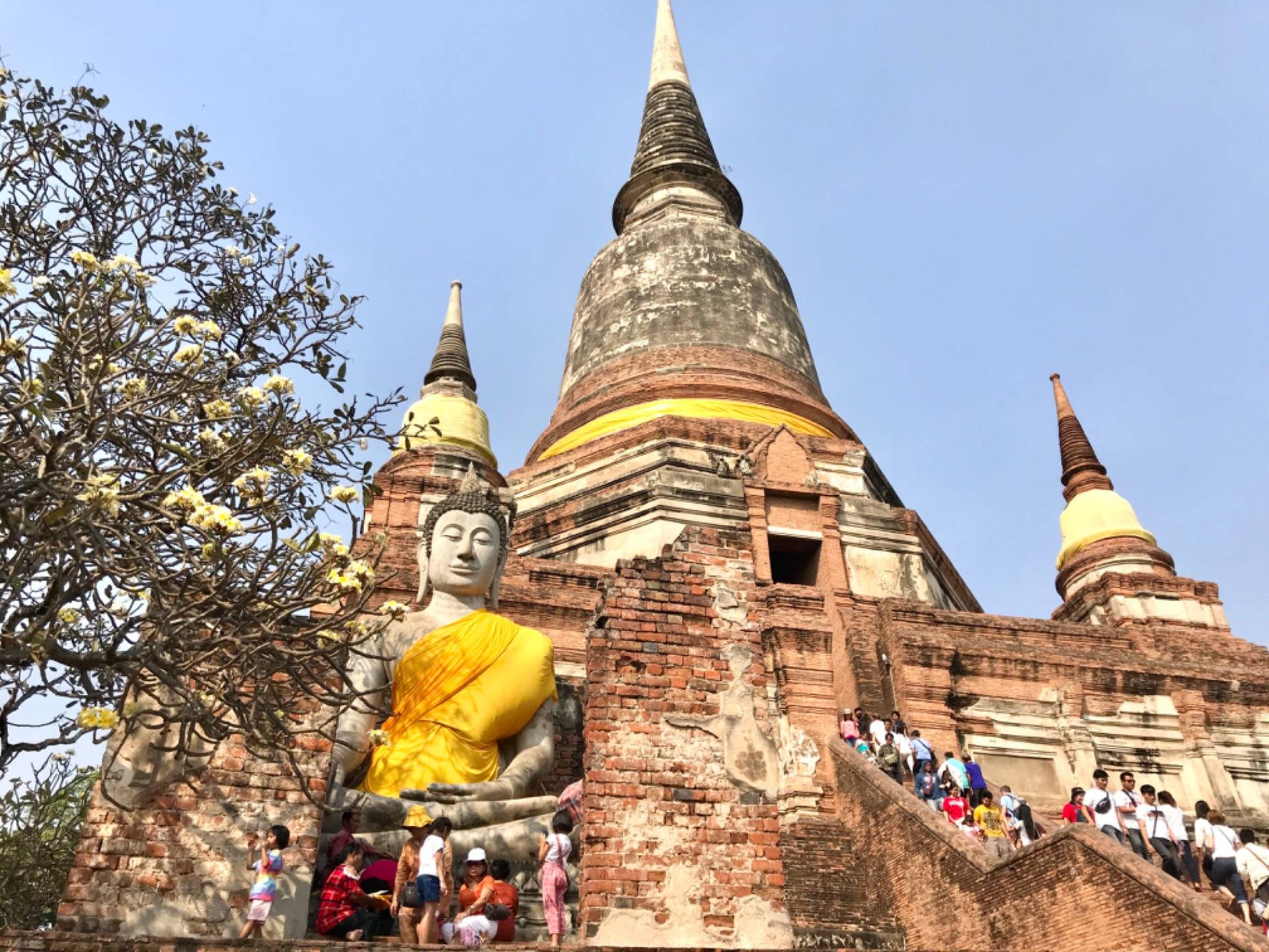 Wat Yai Chai Monhkon