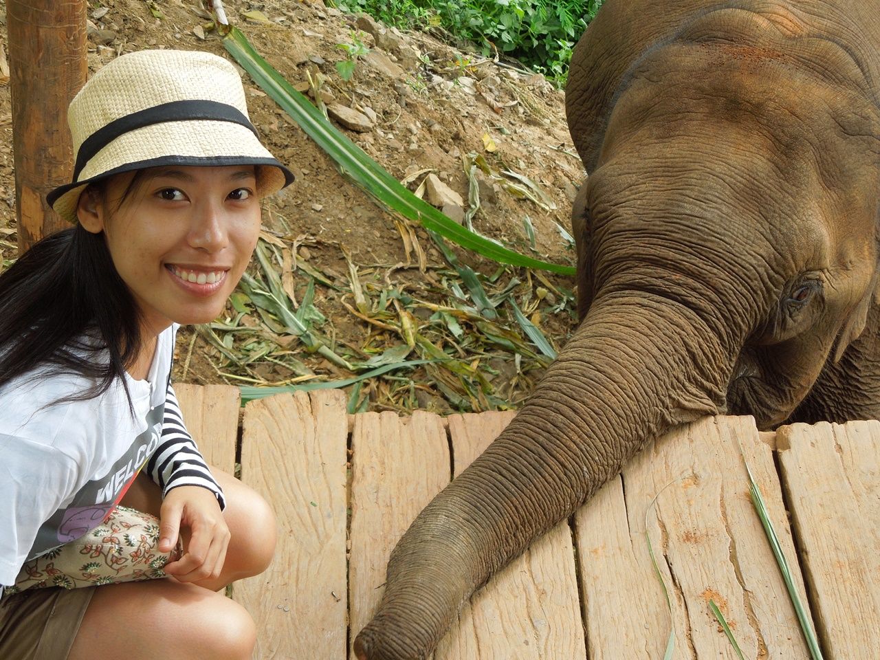 Get close up with an