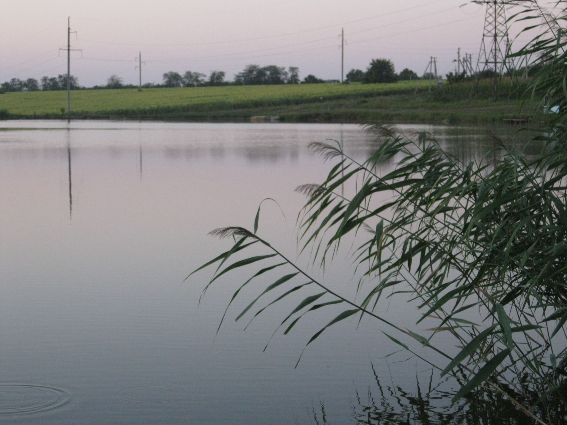 Fishing in the village Kuyalnik