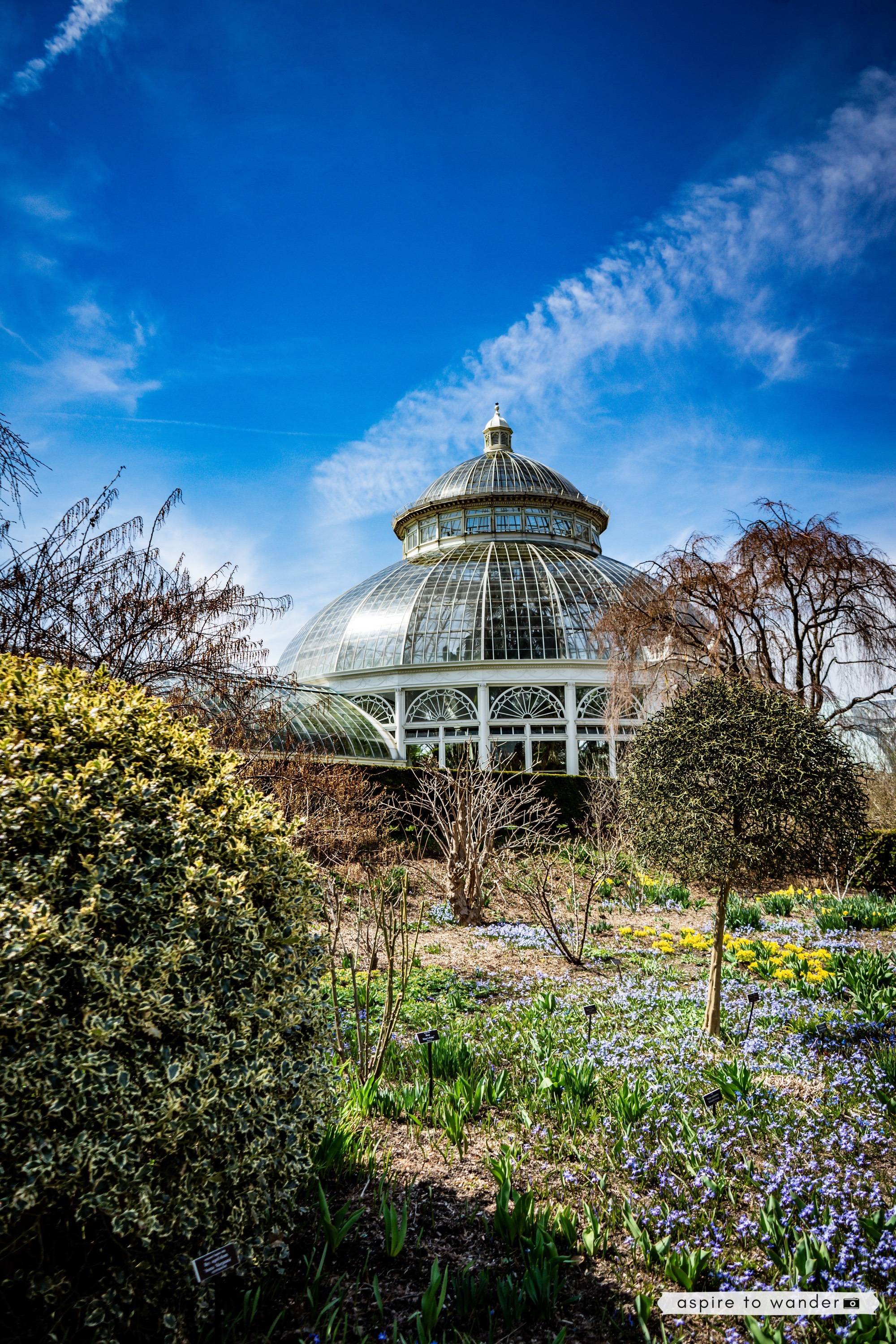New York Botanical Garden: Inspiration For Your Visit and Tips for Families