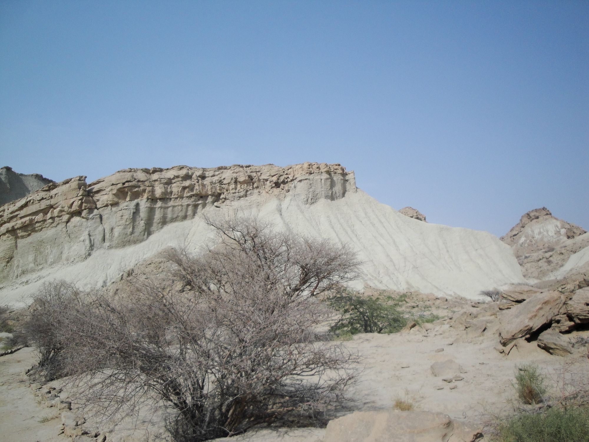 DSC00844.JPG