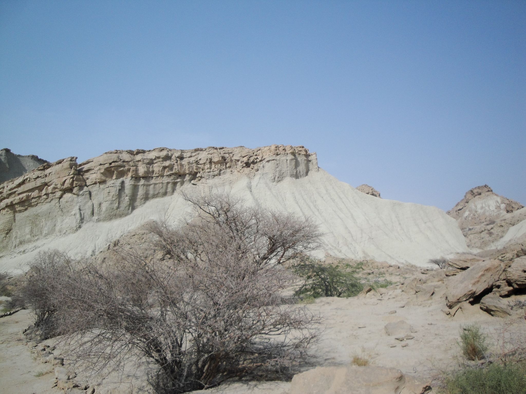 DSC00844.JPG