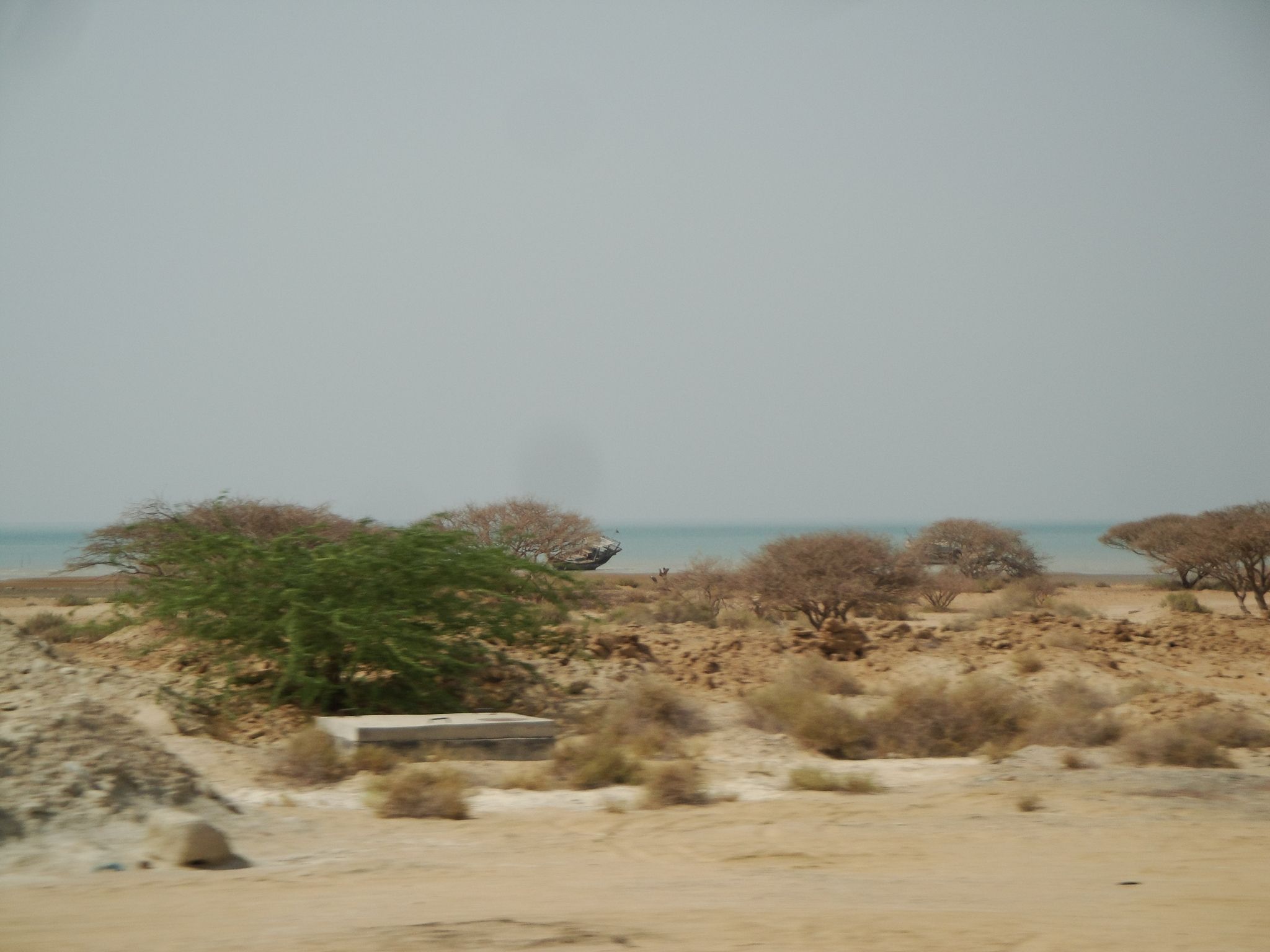 DSC00813.JPG