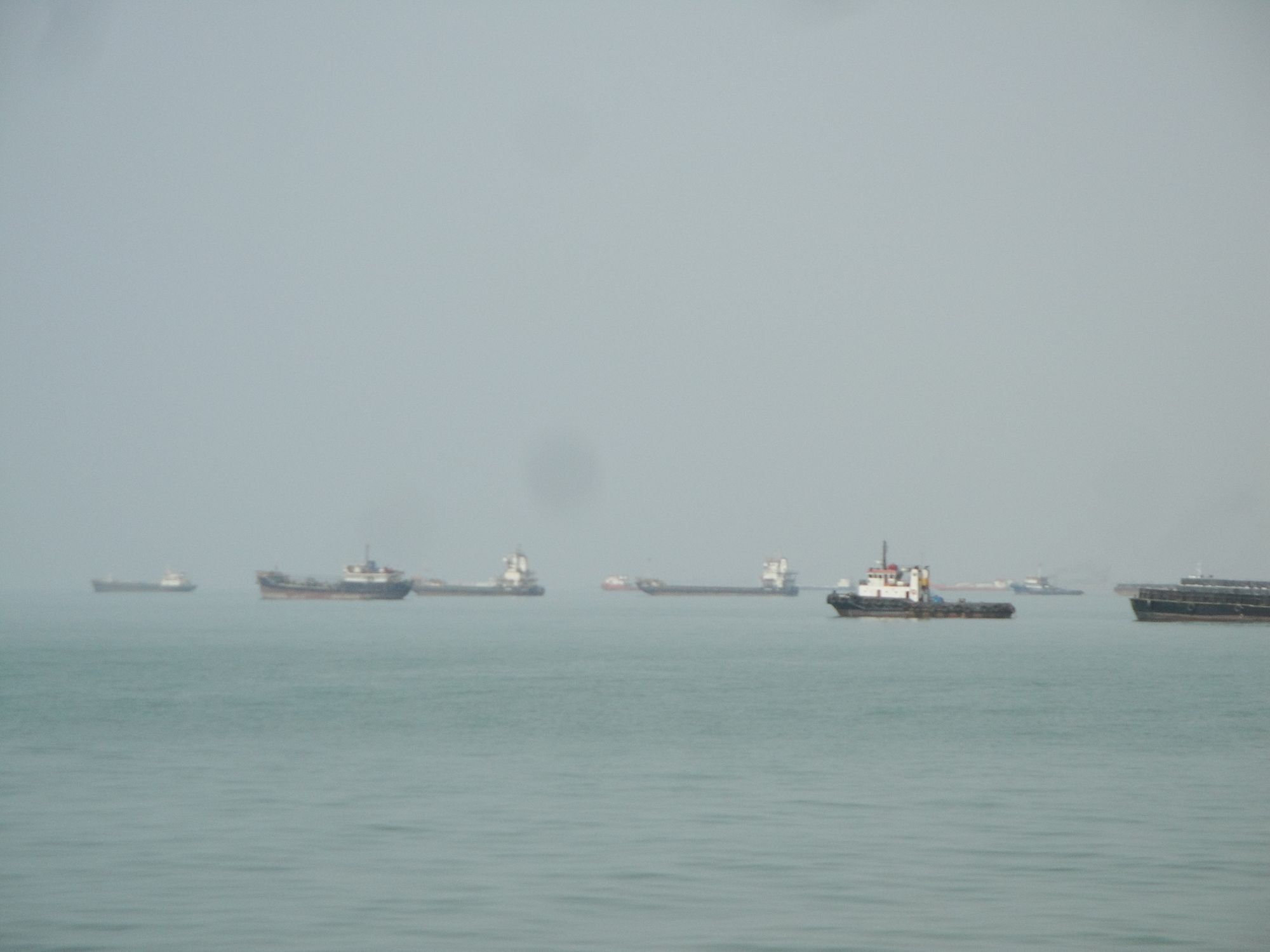 DSC00802.JPG
