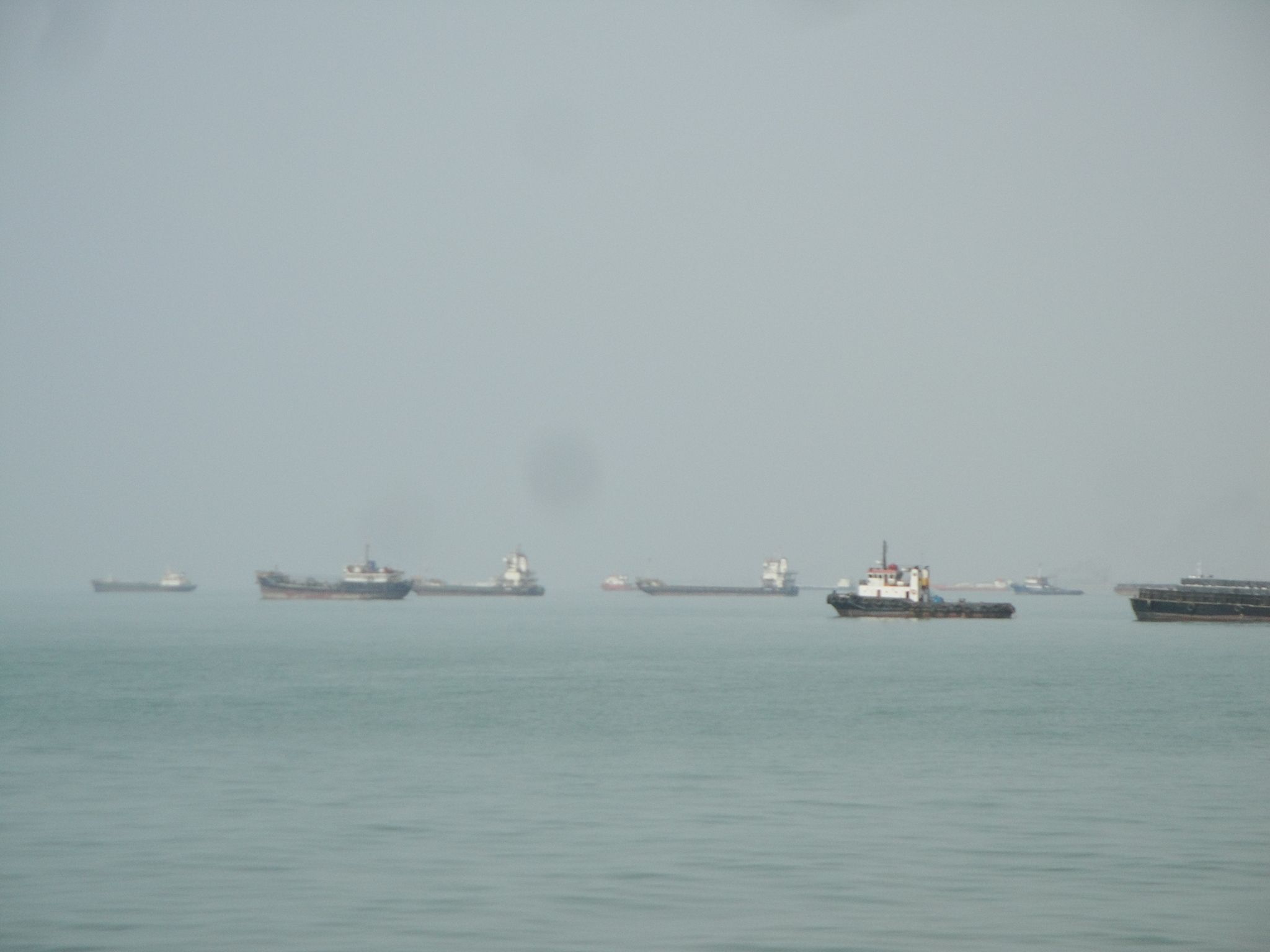 DSC00802.JPG