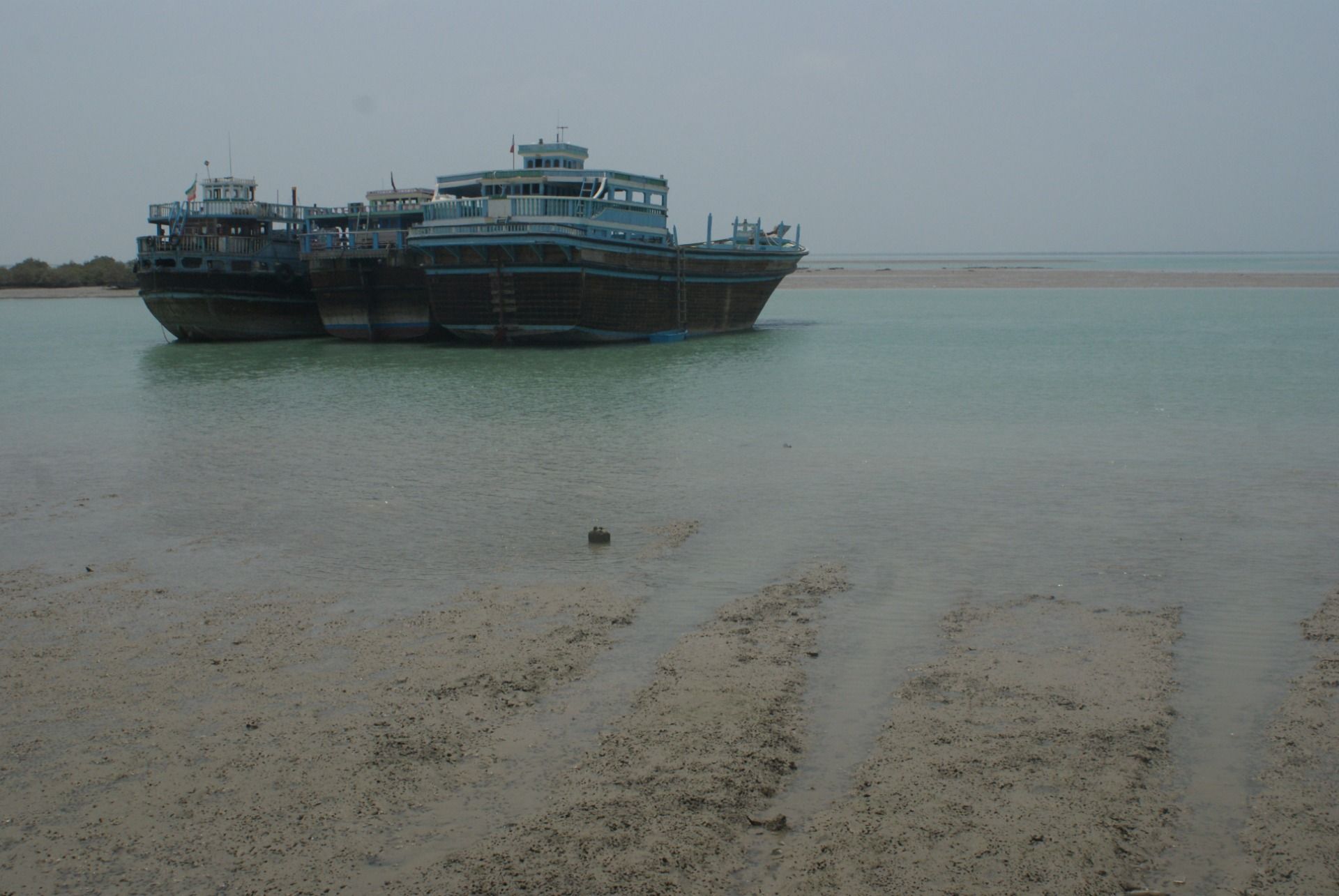 DSC08083.JPG