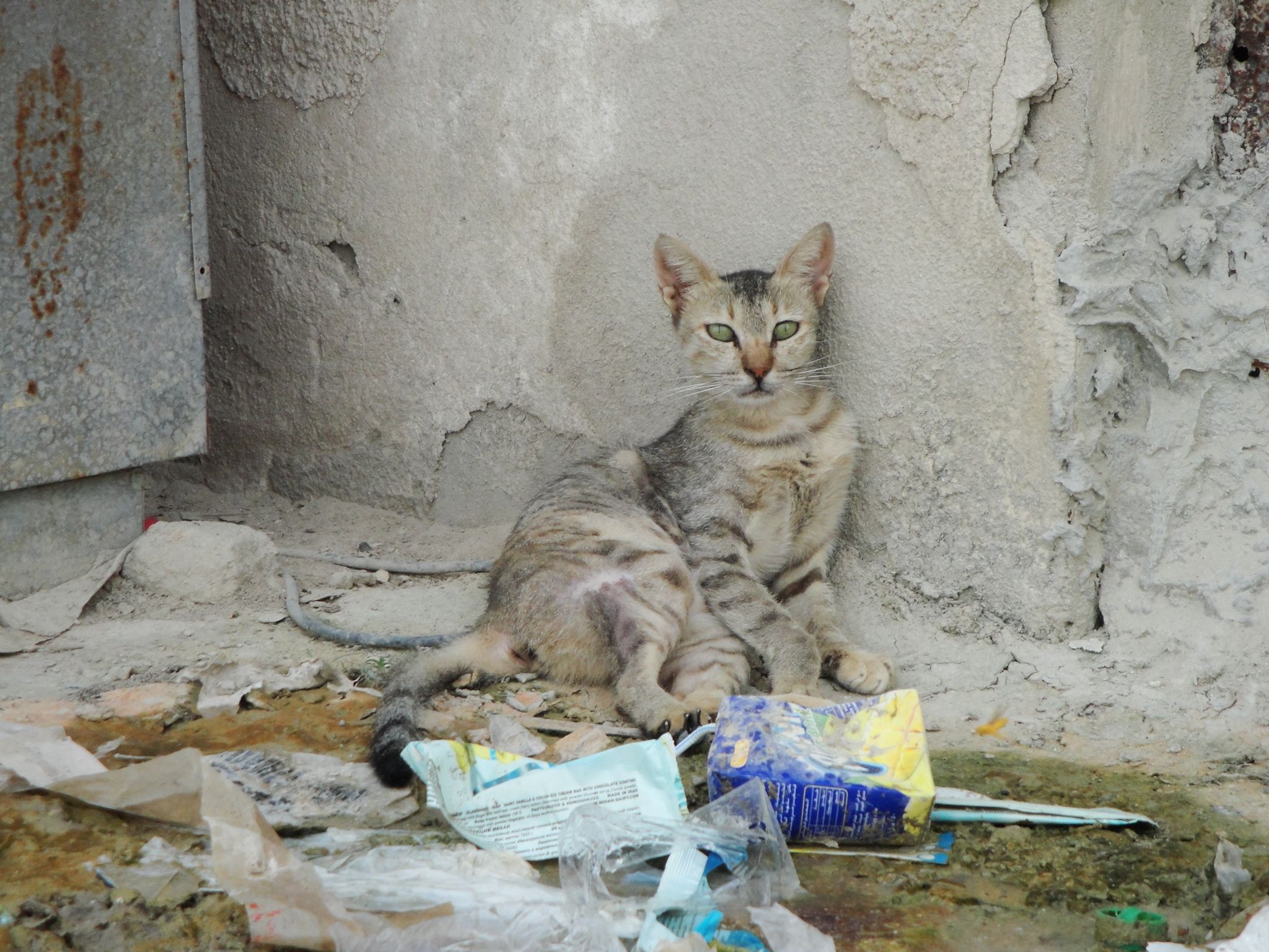 DSC00854.JPG