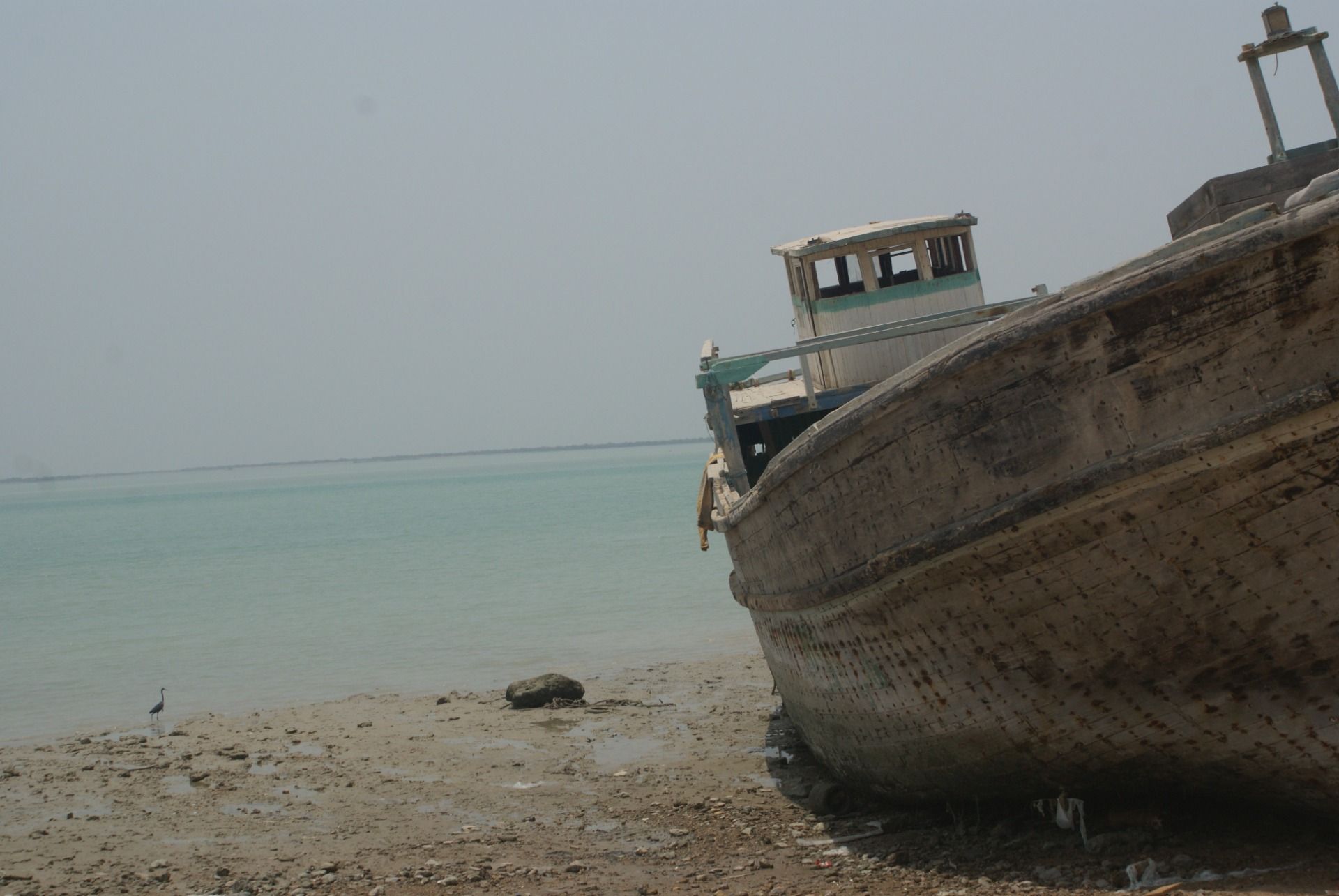 DSC08104.JPG