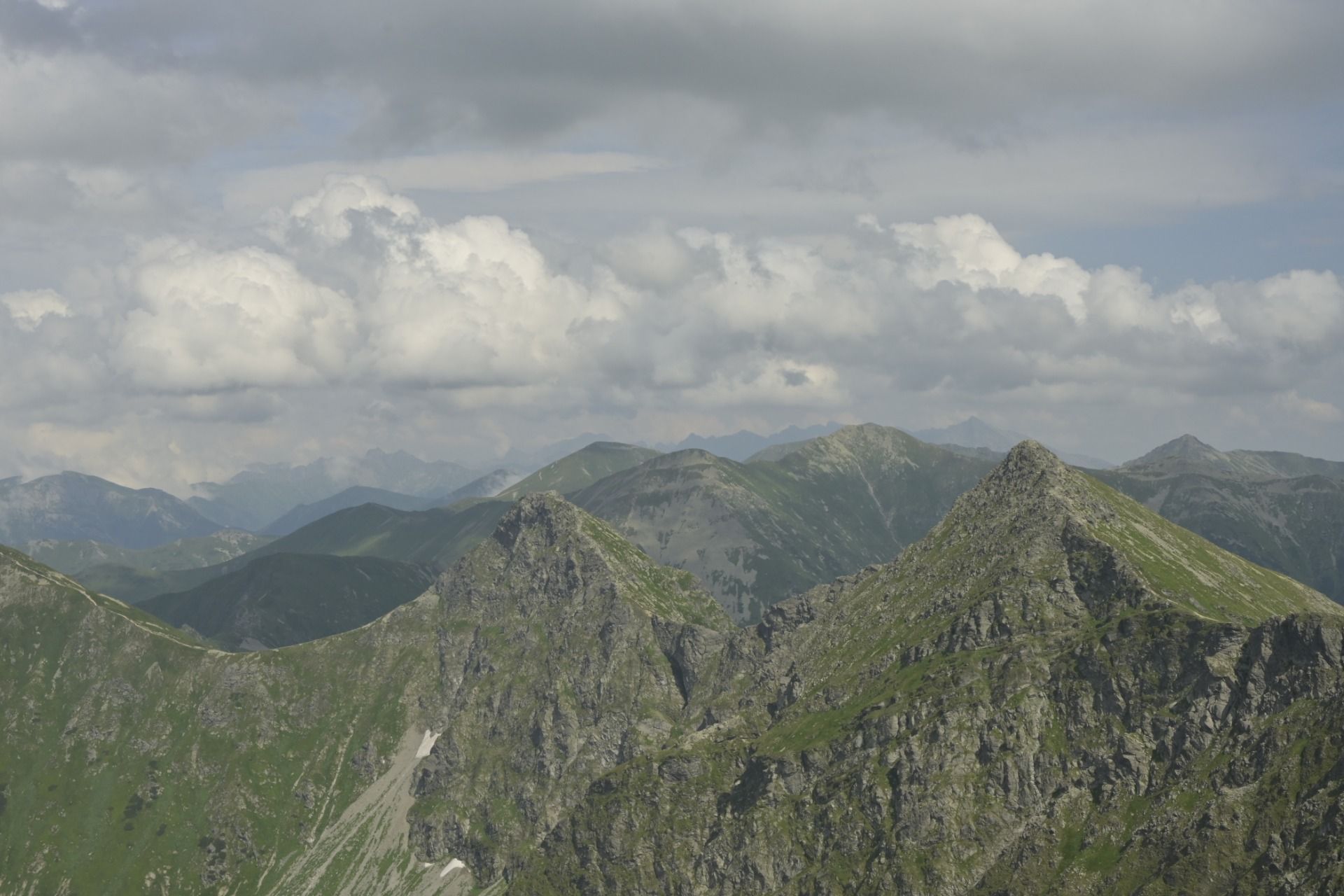 _DSC8501.JPG