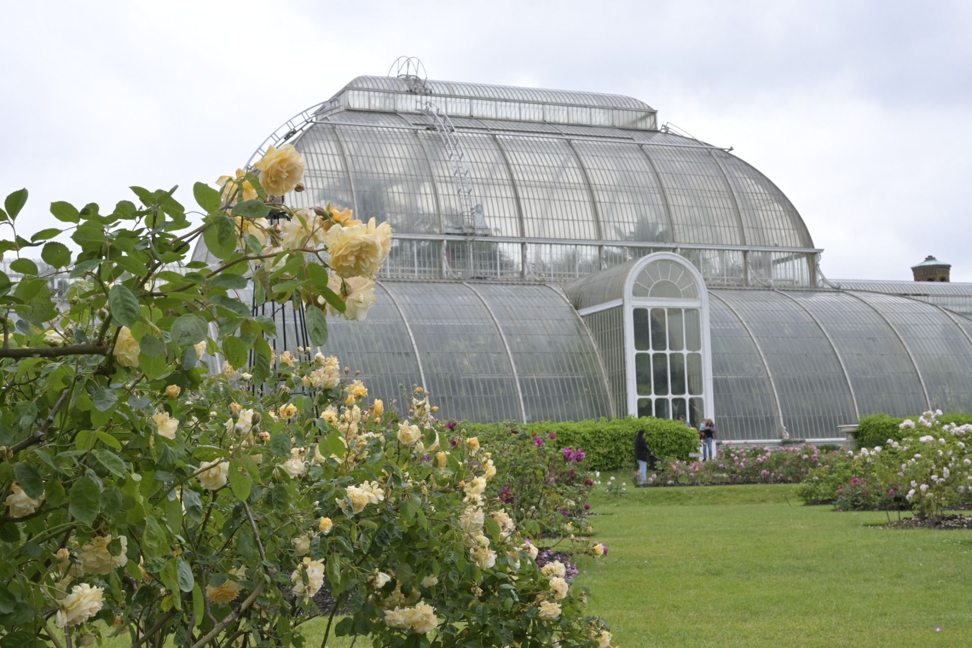 My long weekend in London no. 8 – Kew Gardens, Palm House