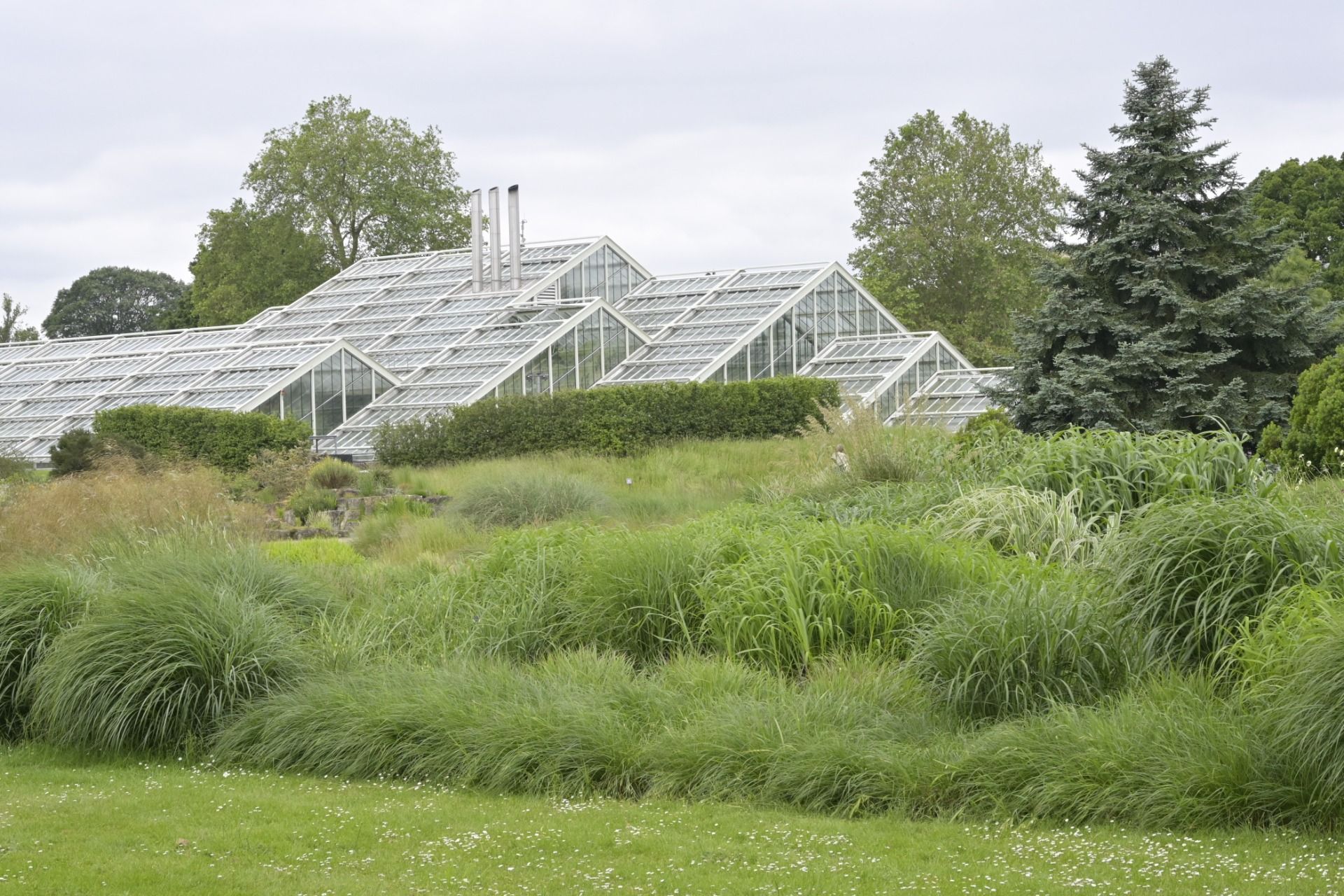 My long weekend in London no. 9 – Kew Gardens, Princess of Wales Conservatory