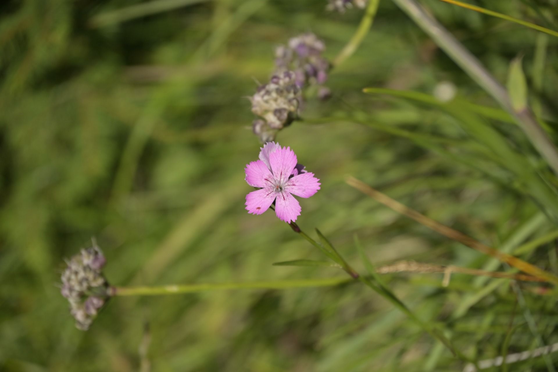 _DSC9348.JPG