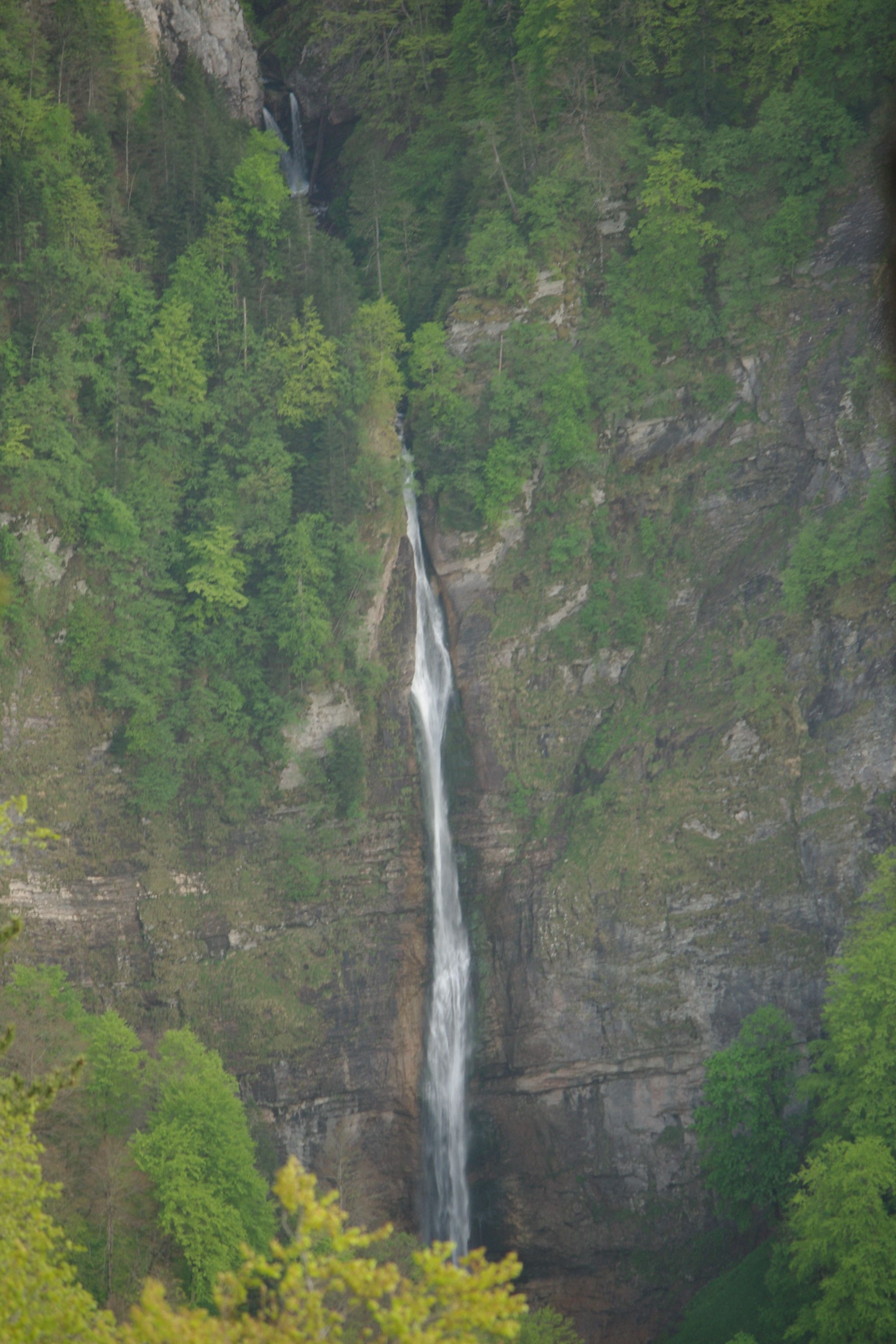 IMGP0542.JPG