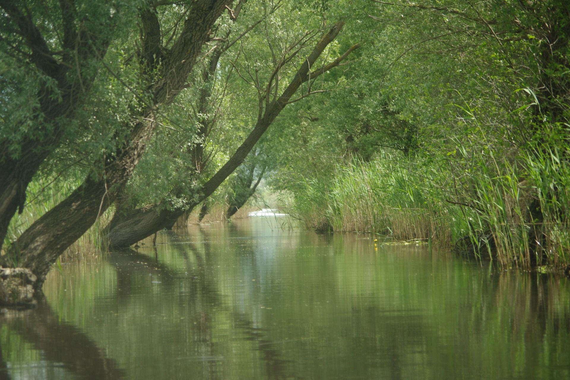 Around Bosnia and Herzegovina no. 5 – Hutovo Blato