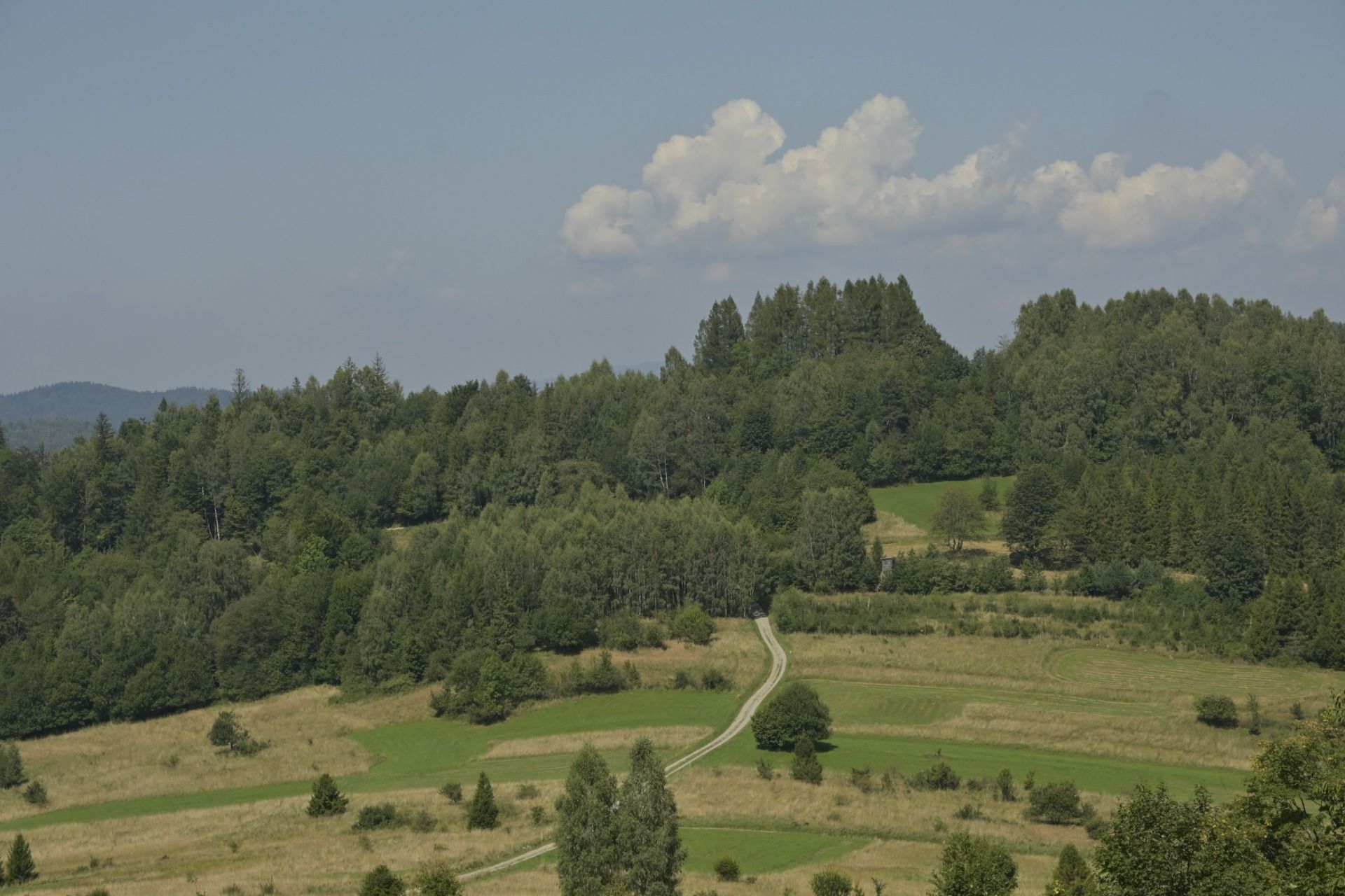 MAIN BESKID TRAIL – stage no. 7 Przełęcz Glinne – Markowe Szczawiny