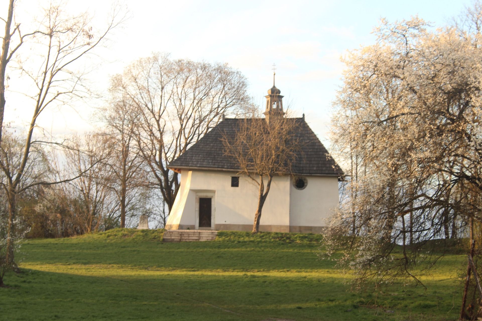 IMG_8619.JPG