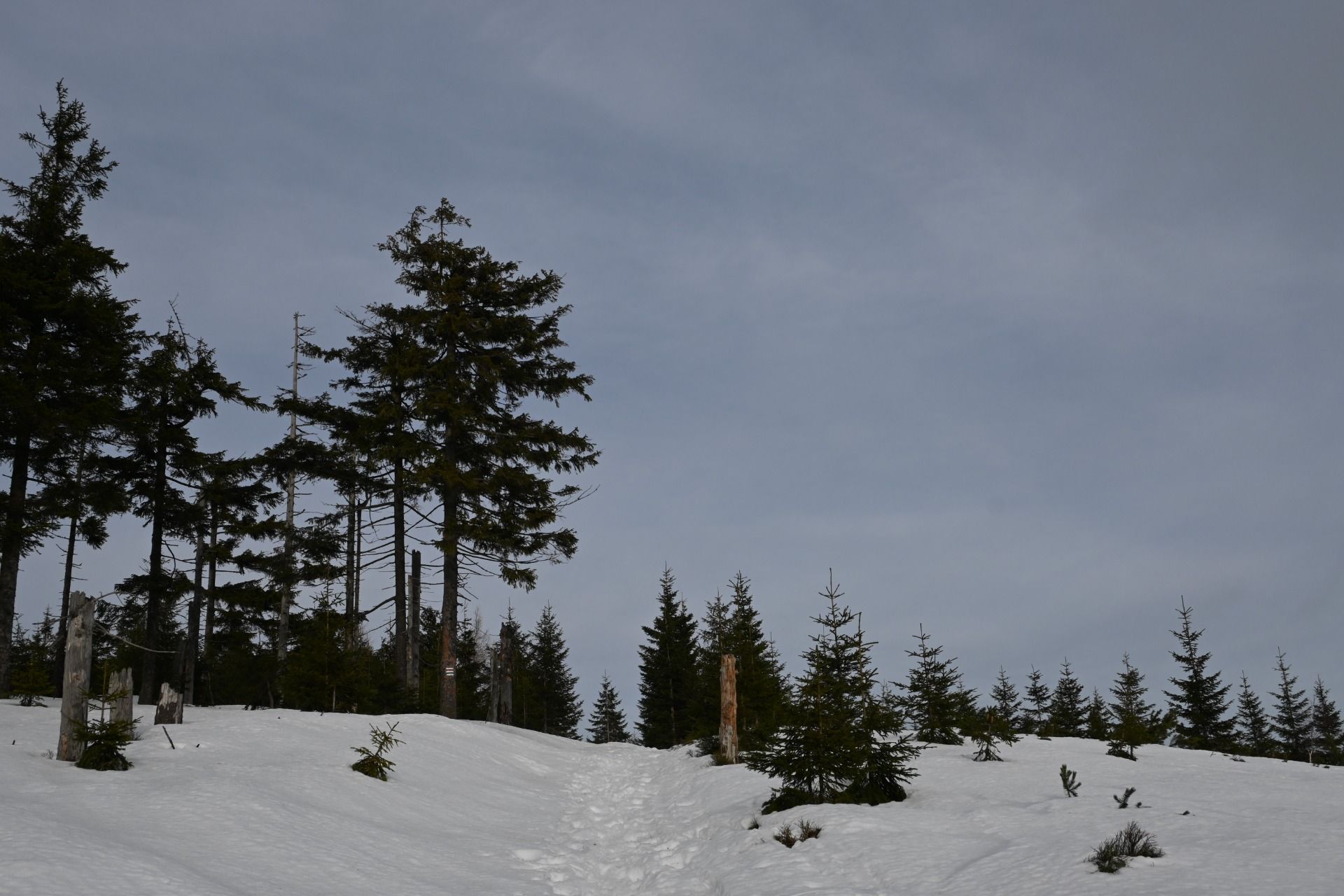 DSC_0490.JPG