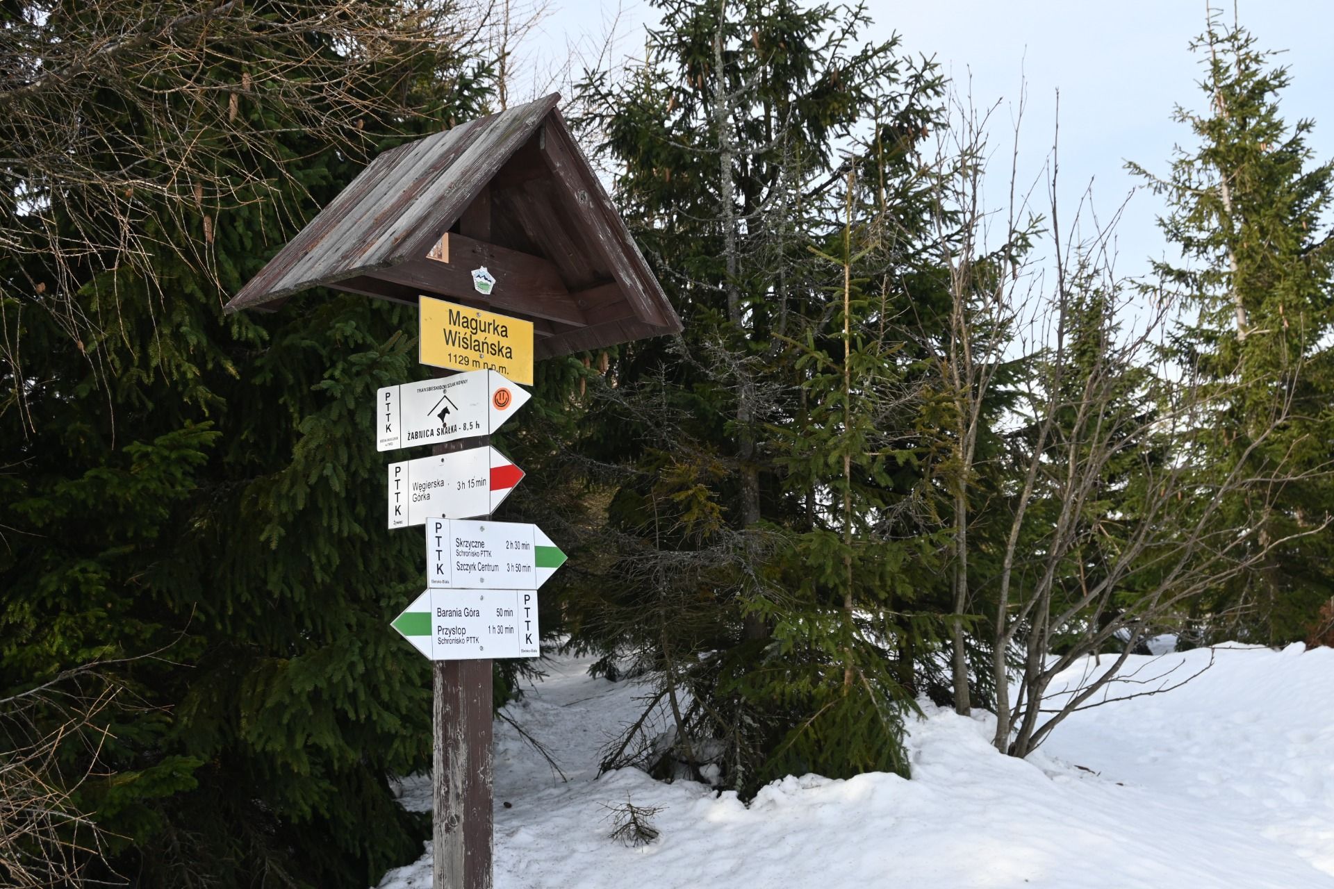 DSC_0491.JPG