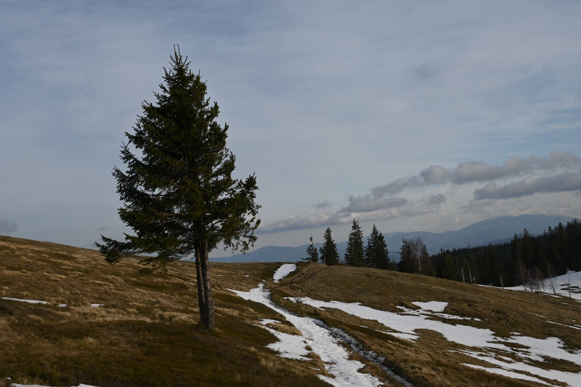 MAIN BESKID TRAIL – stage no. 4 PTTK Shelter Przysłop pod Baranią Górą – Węgierska Górka
