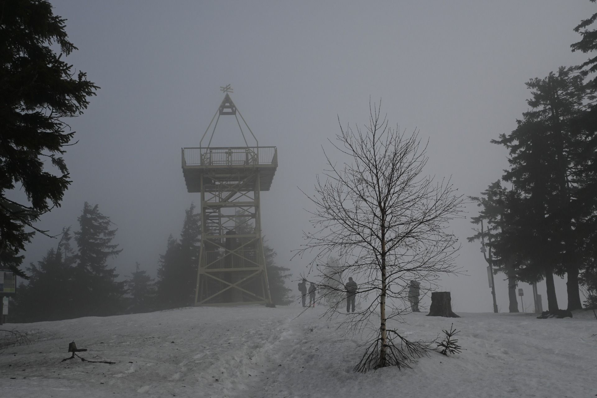 DSC_0453.JPG