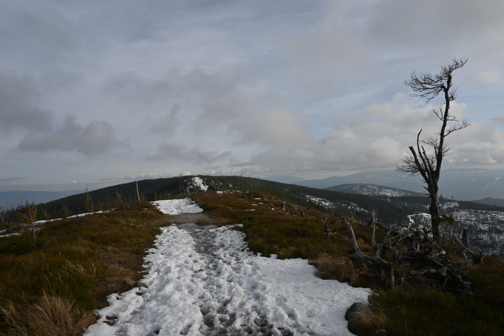 DSC_0513.JPG