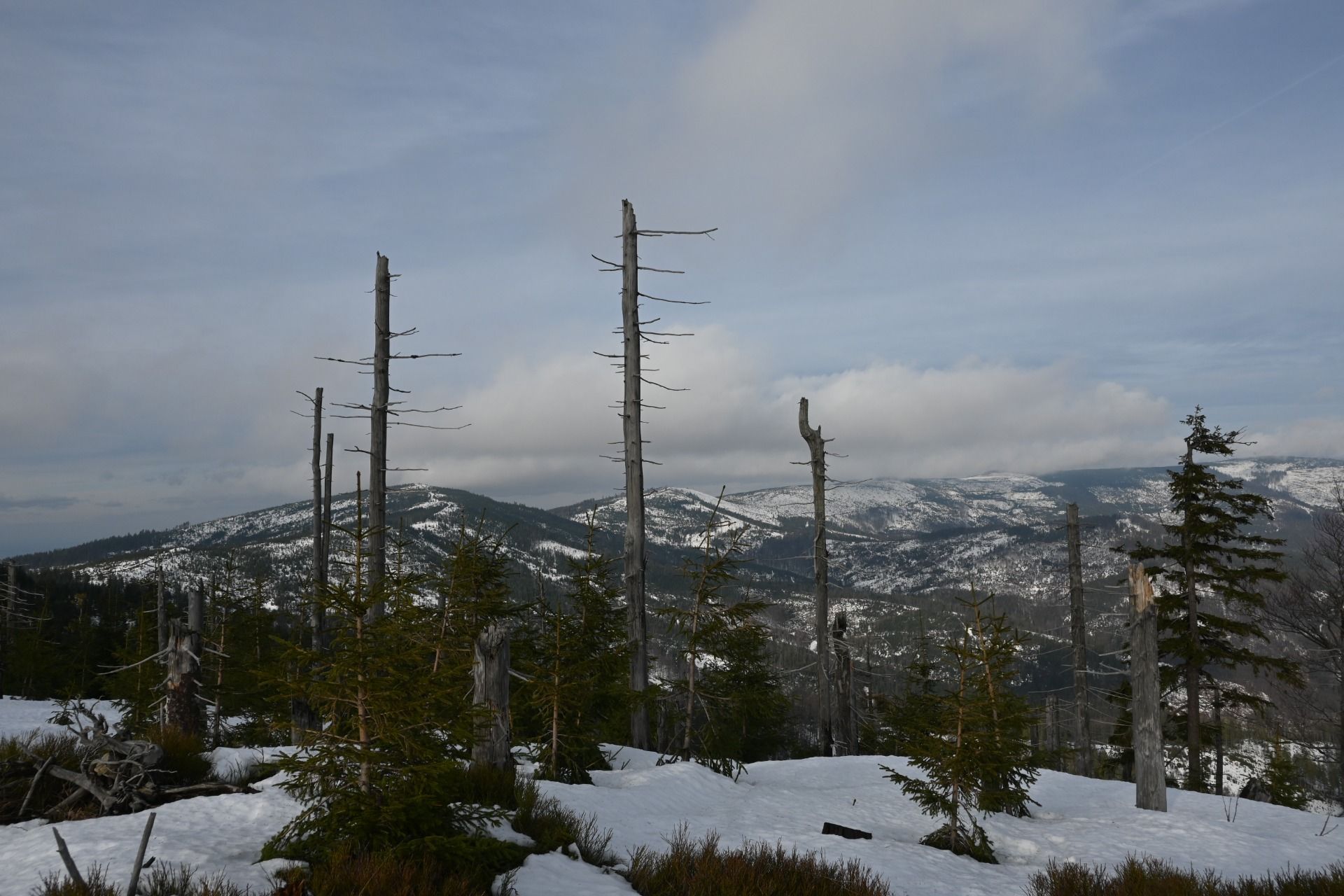 DSC_0510.JPG
