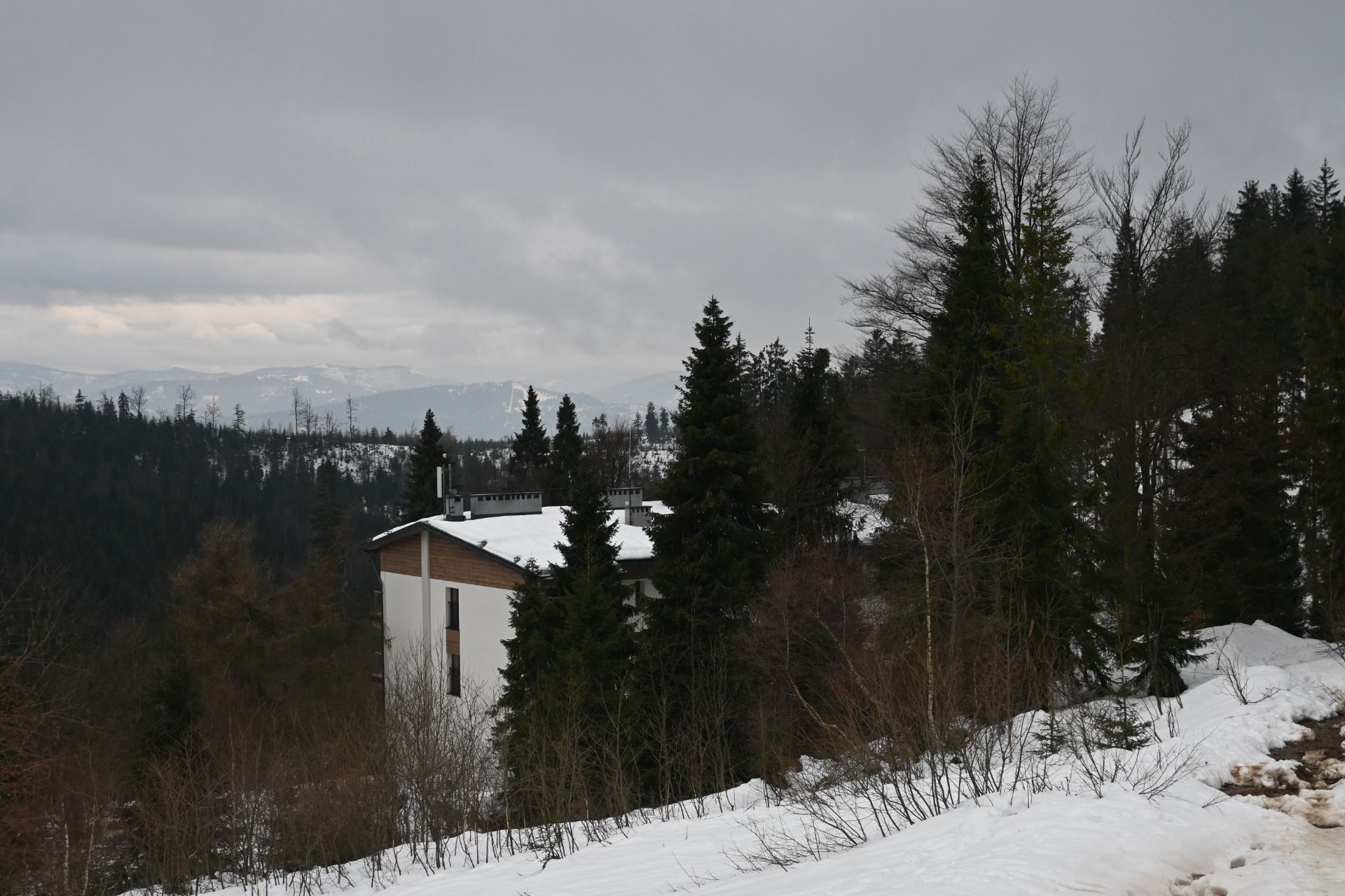 DSC_0434.JPG