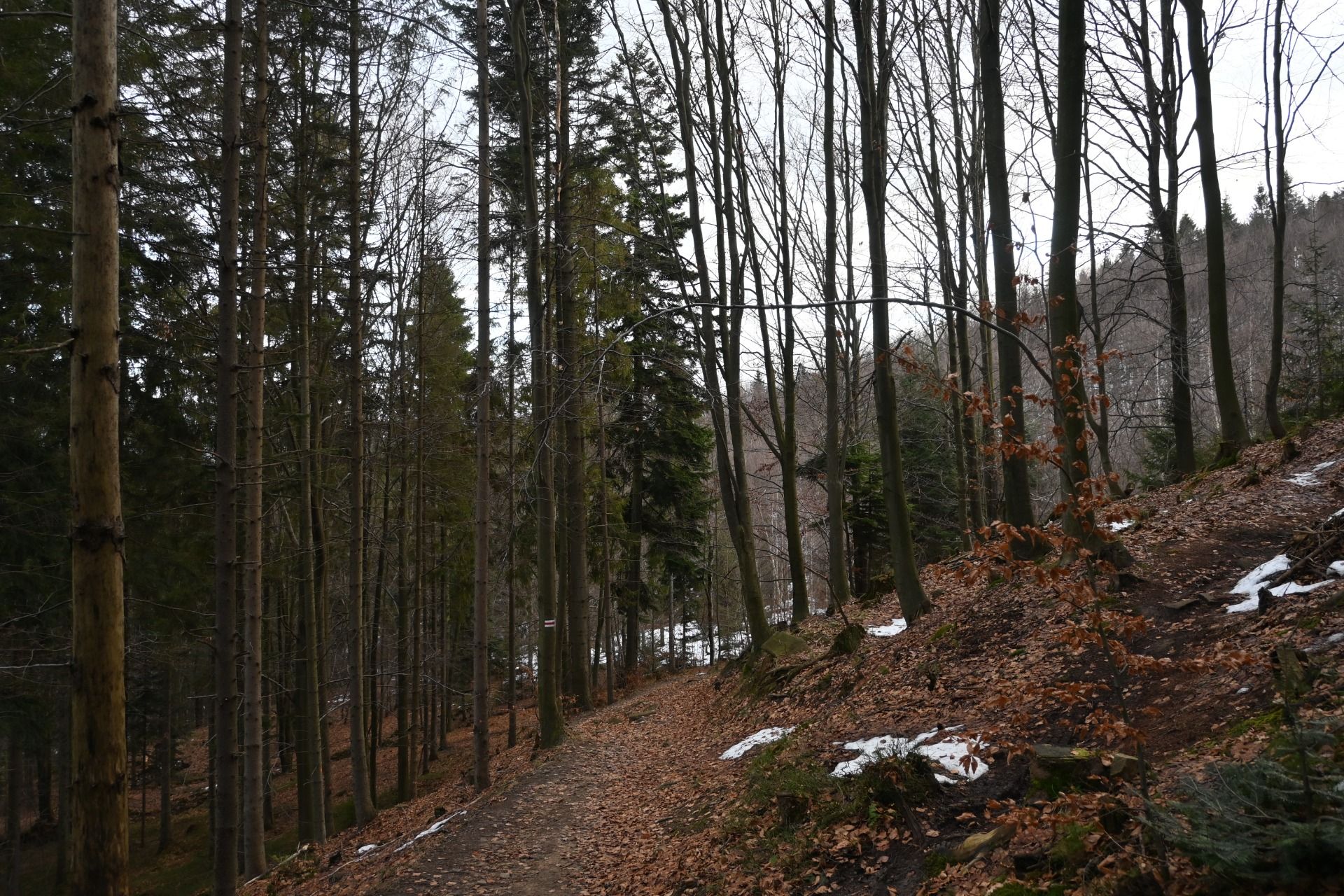 DSC_0564.JPG