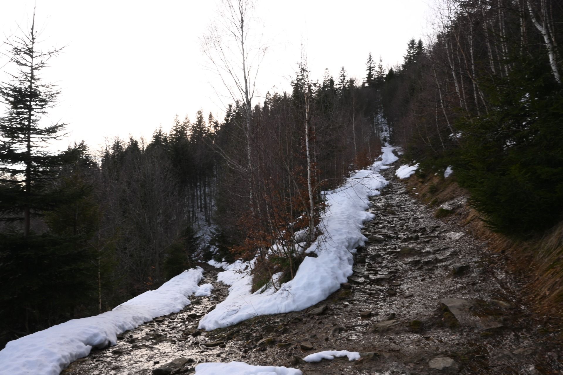 DSC_0559.JPG