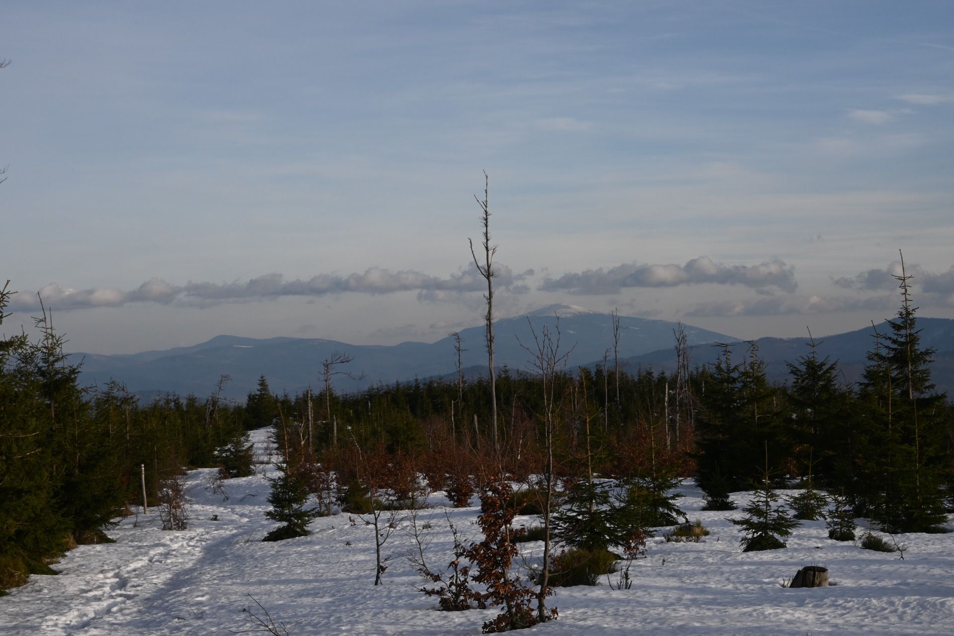 DSC_0556.JPG