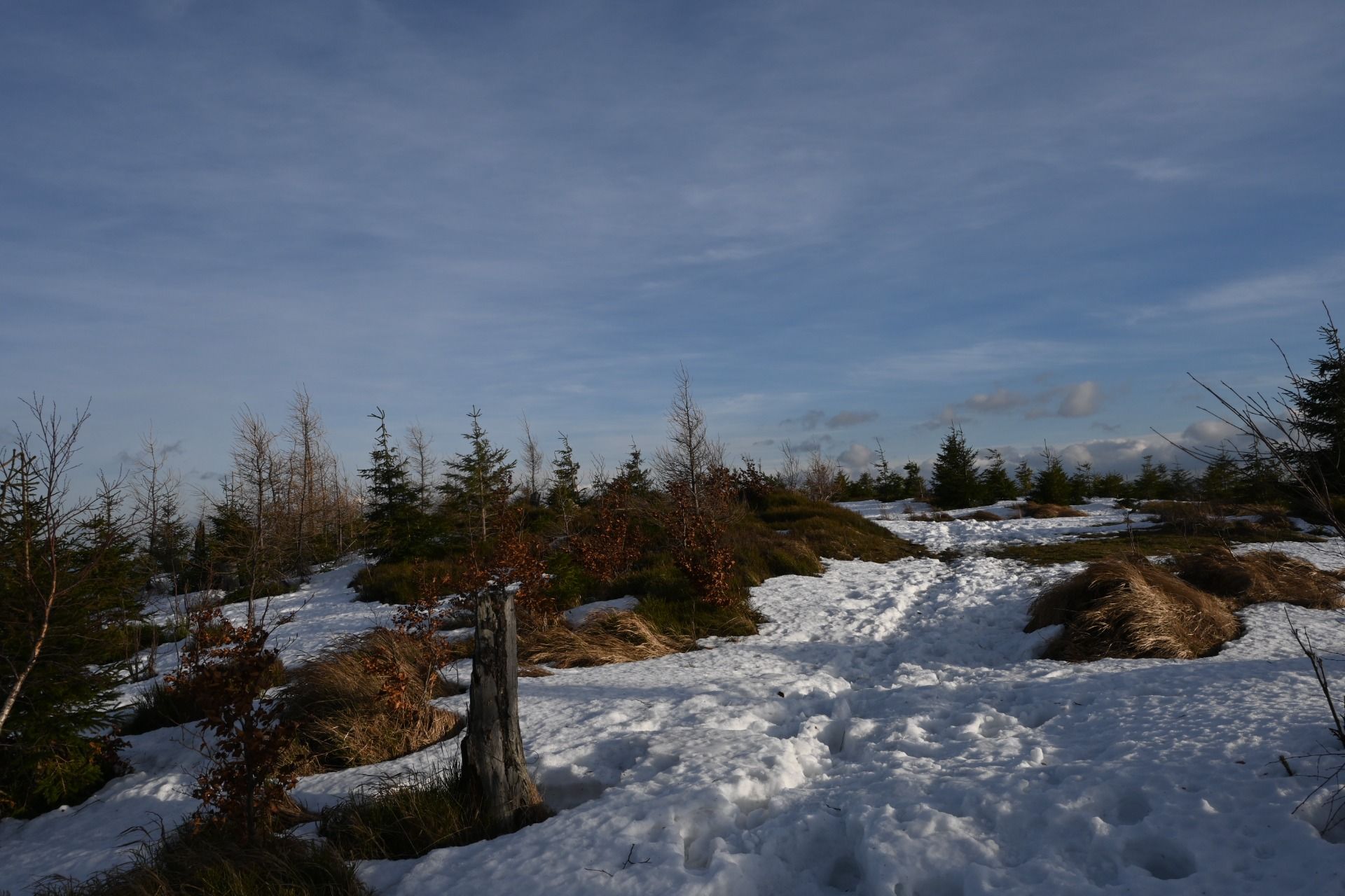 DSC_0549.JPG