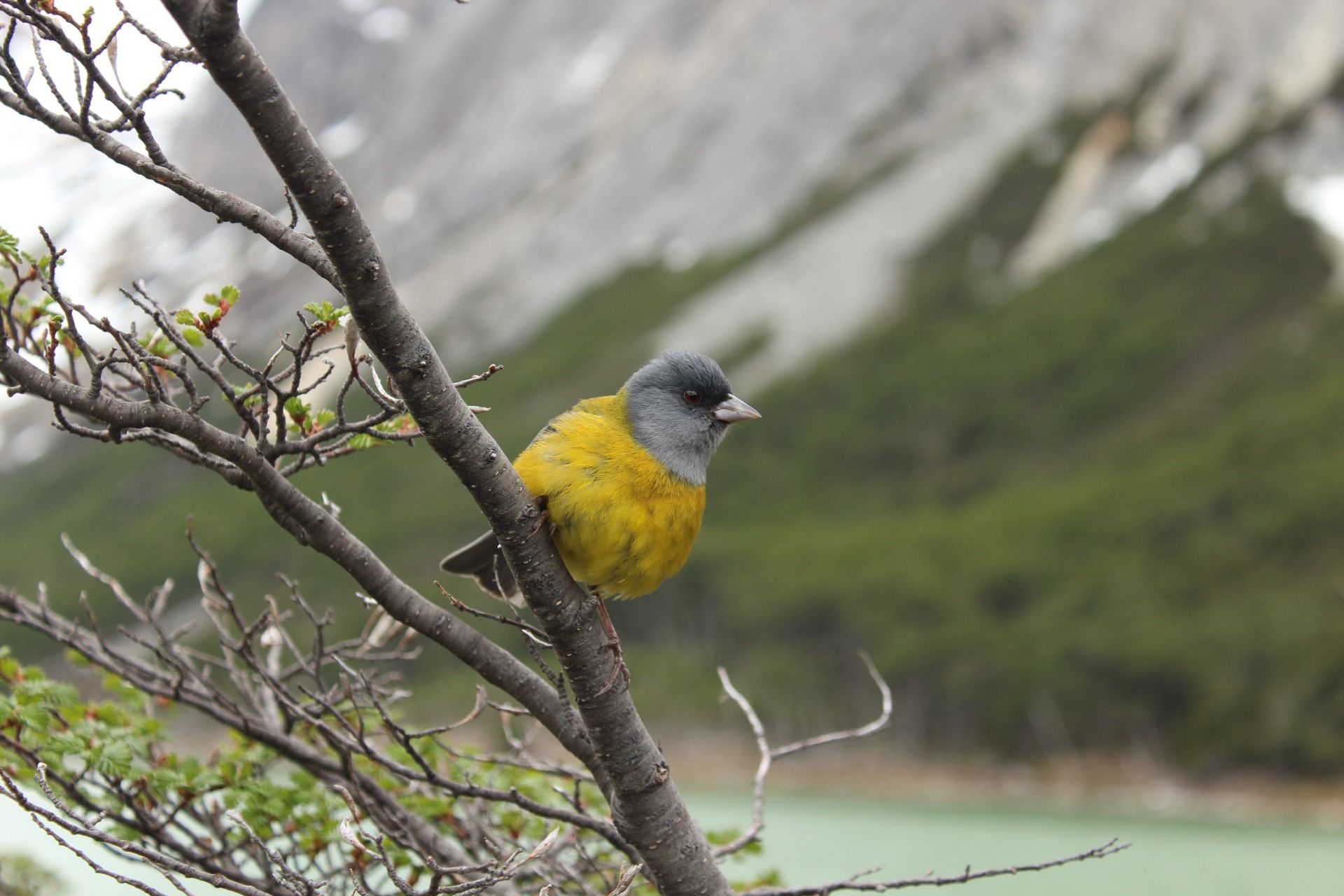 My mountain hikes no. 10 - Esmeralda Lagoon