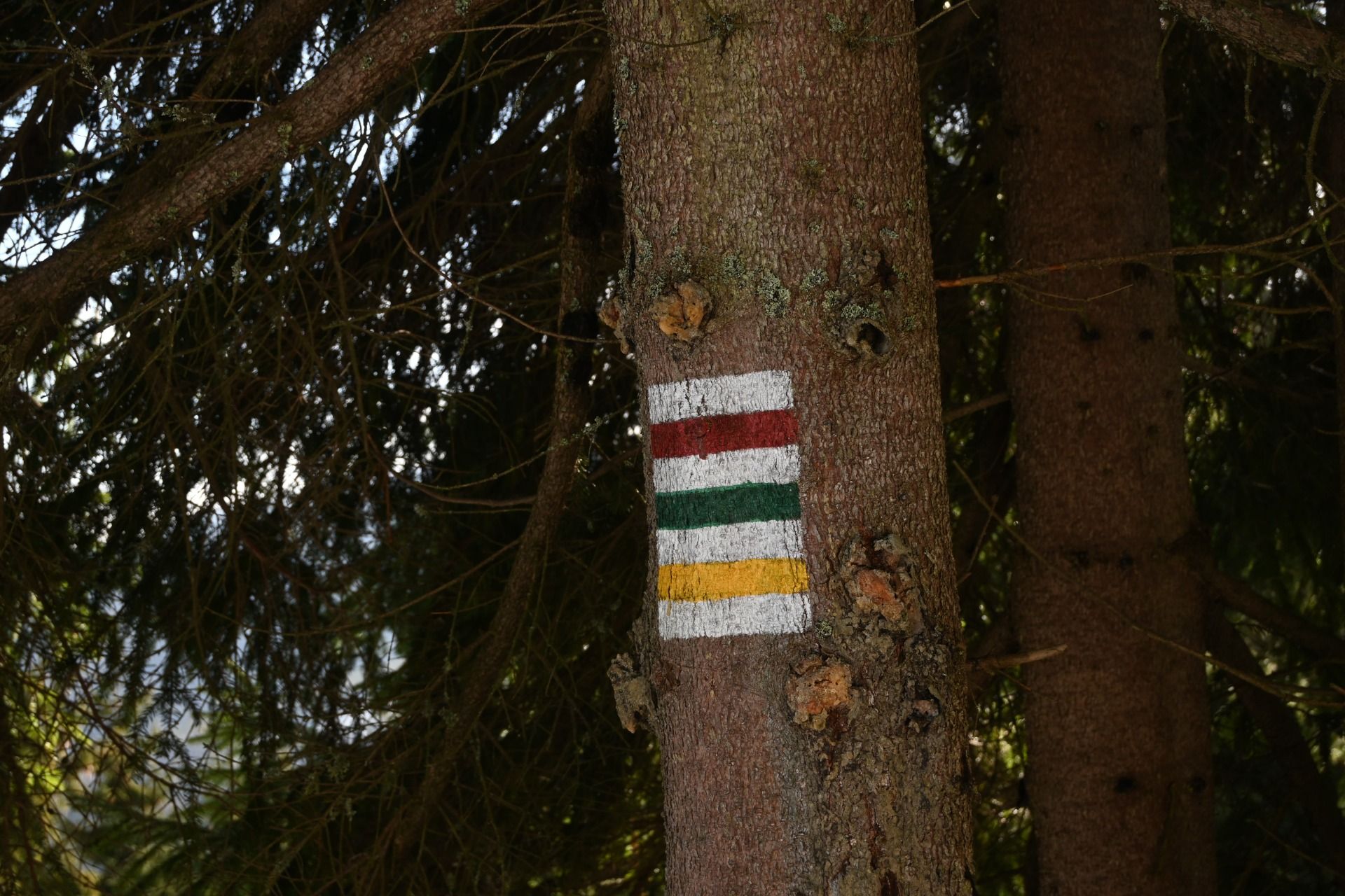 DSC_1026.JPG