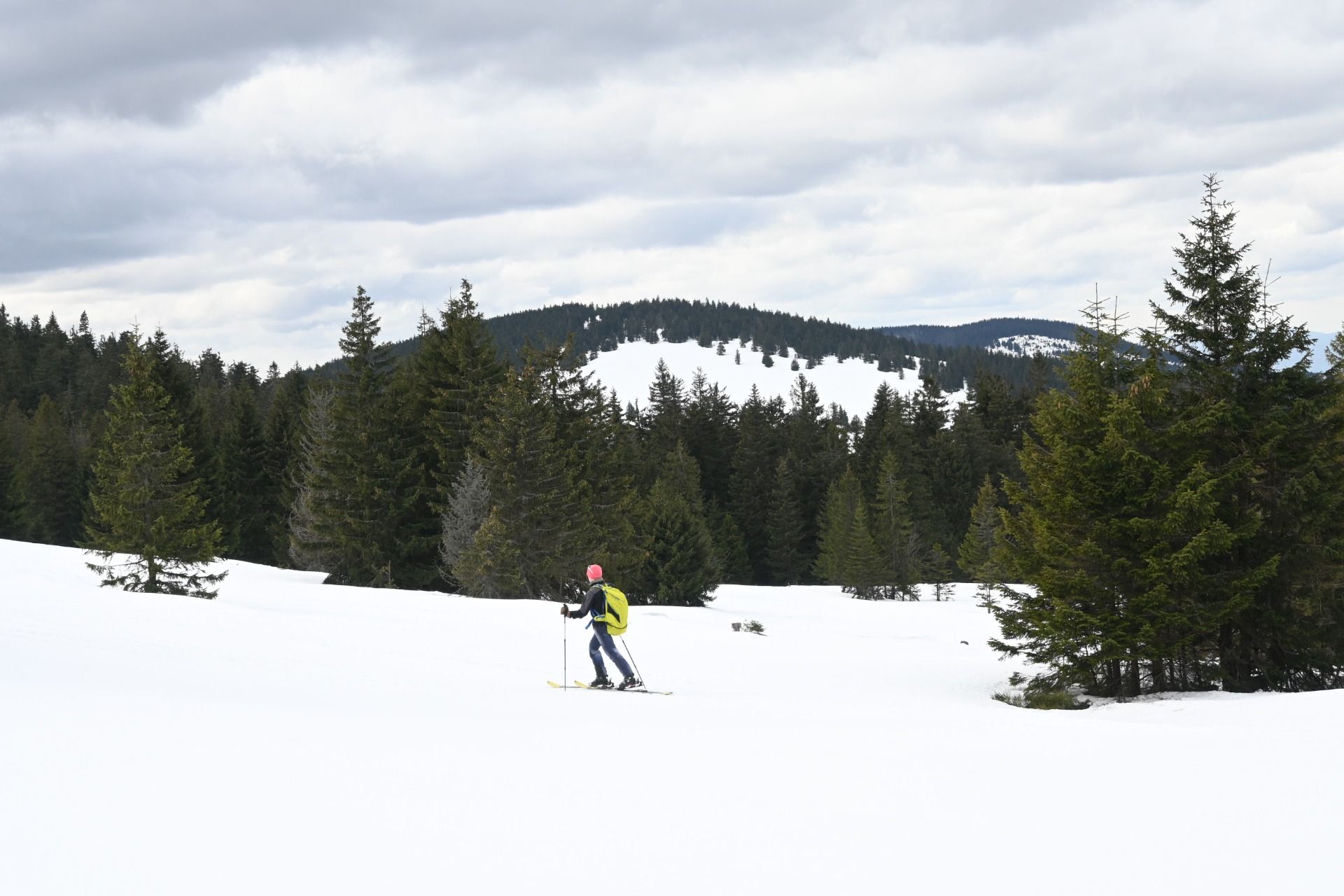 DSC_1069.JPG