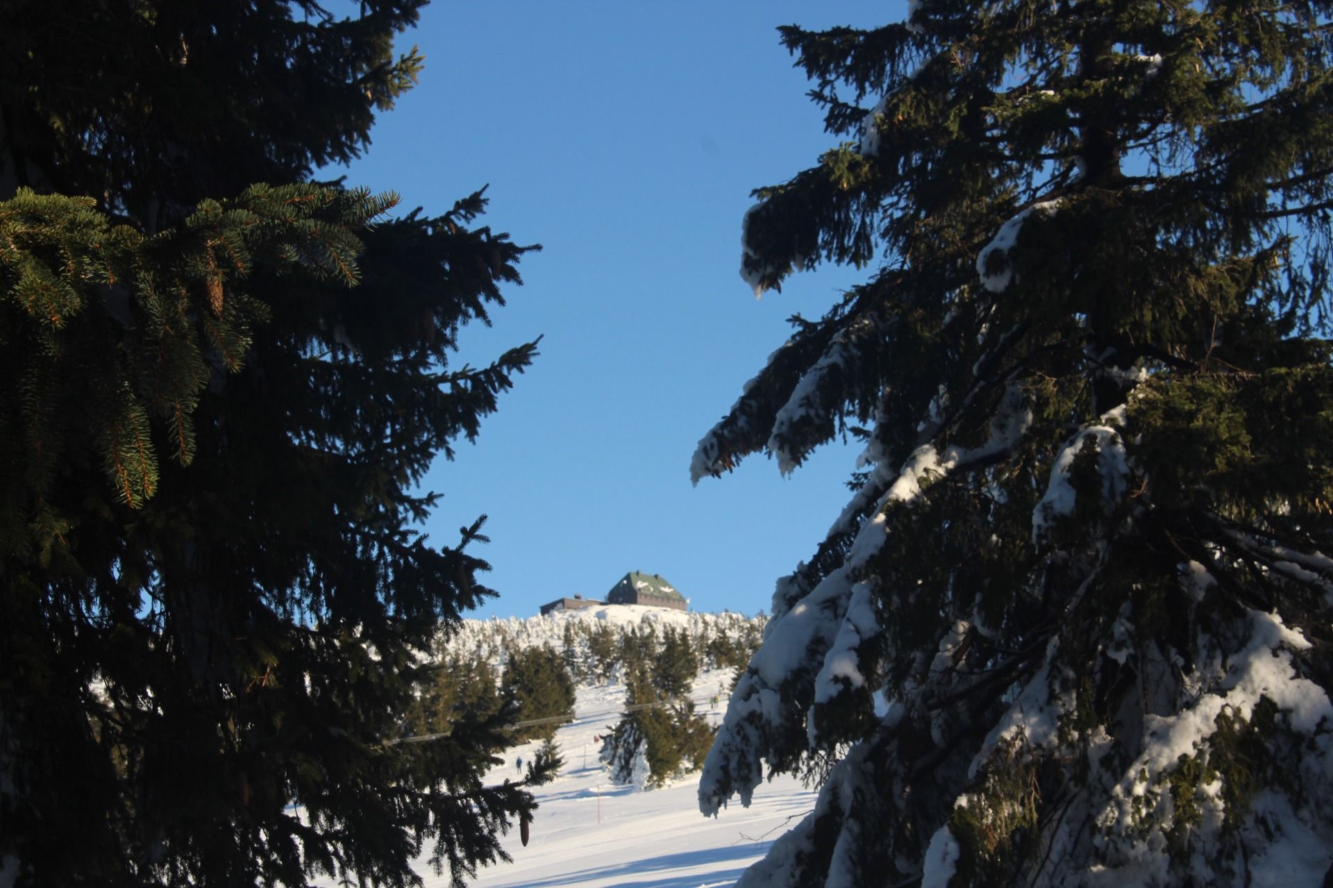 IMG_8504.JPG