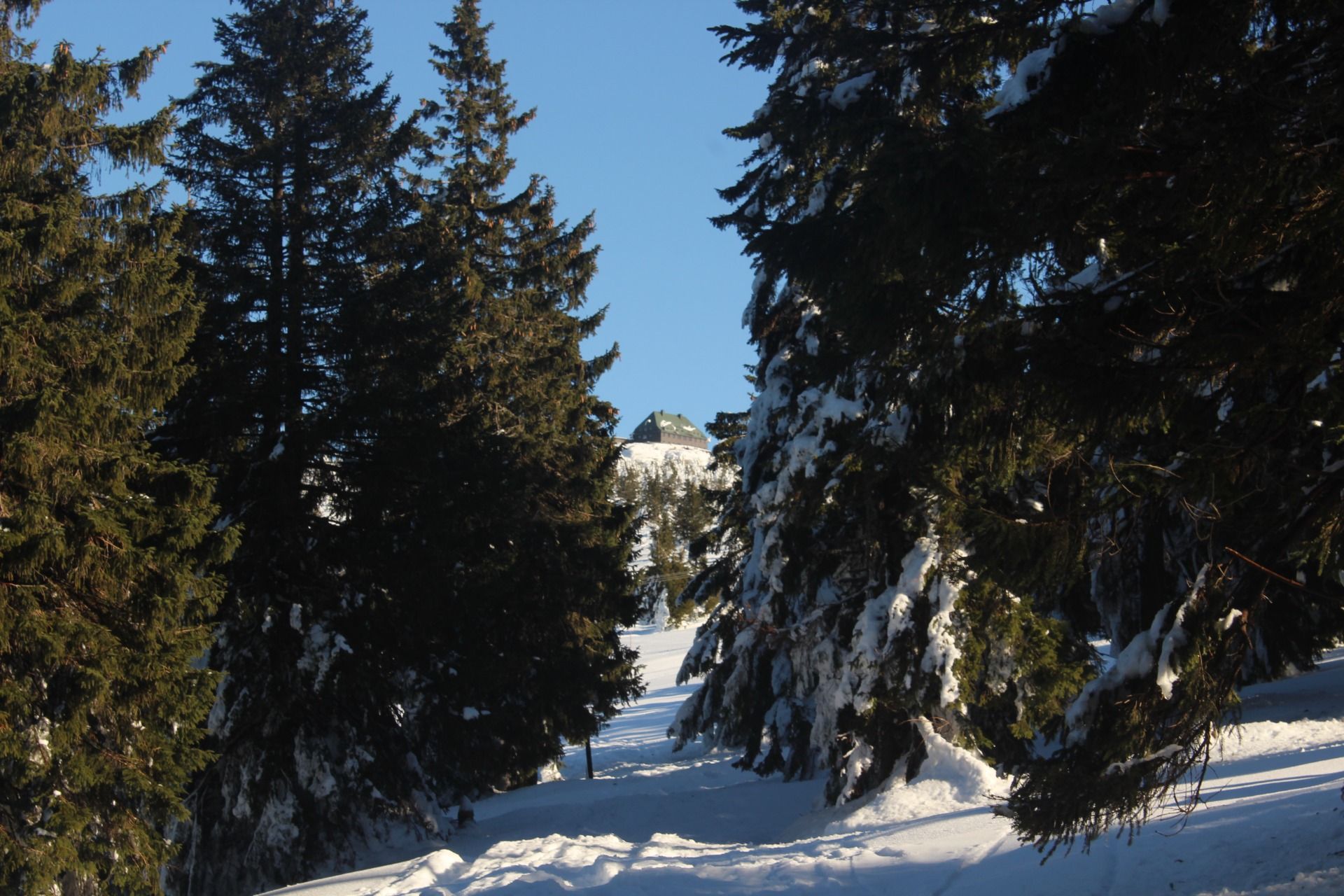 IMG_8501.JPG