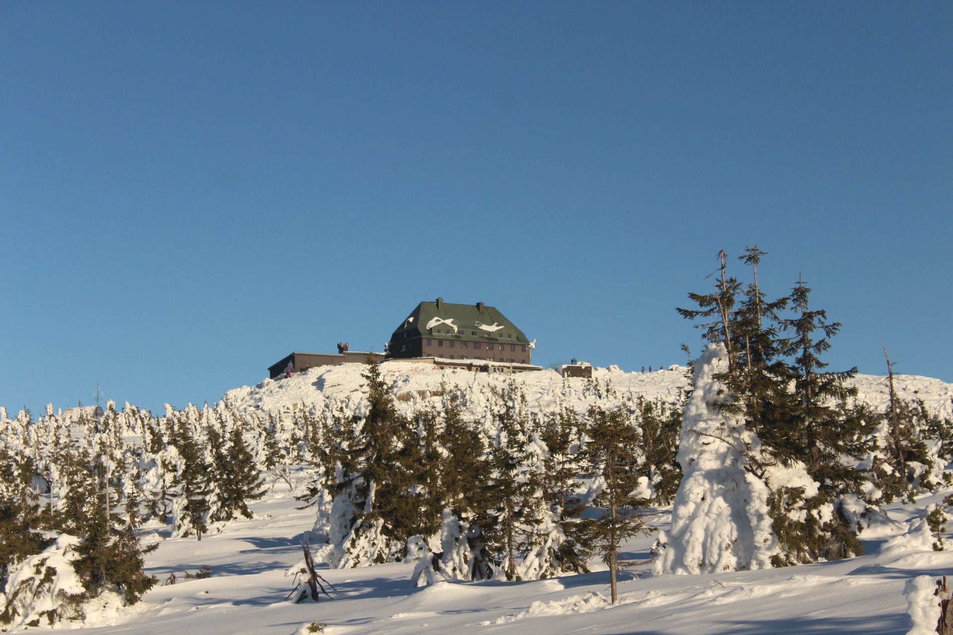 IMG_8509.JPG