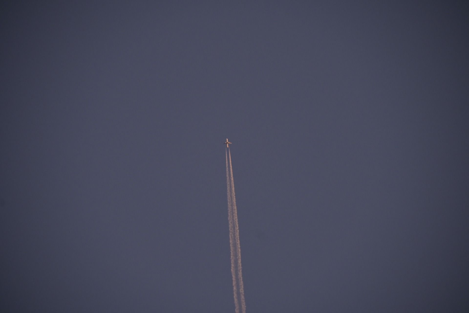 _DSC5009.JPG