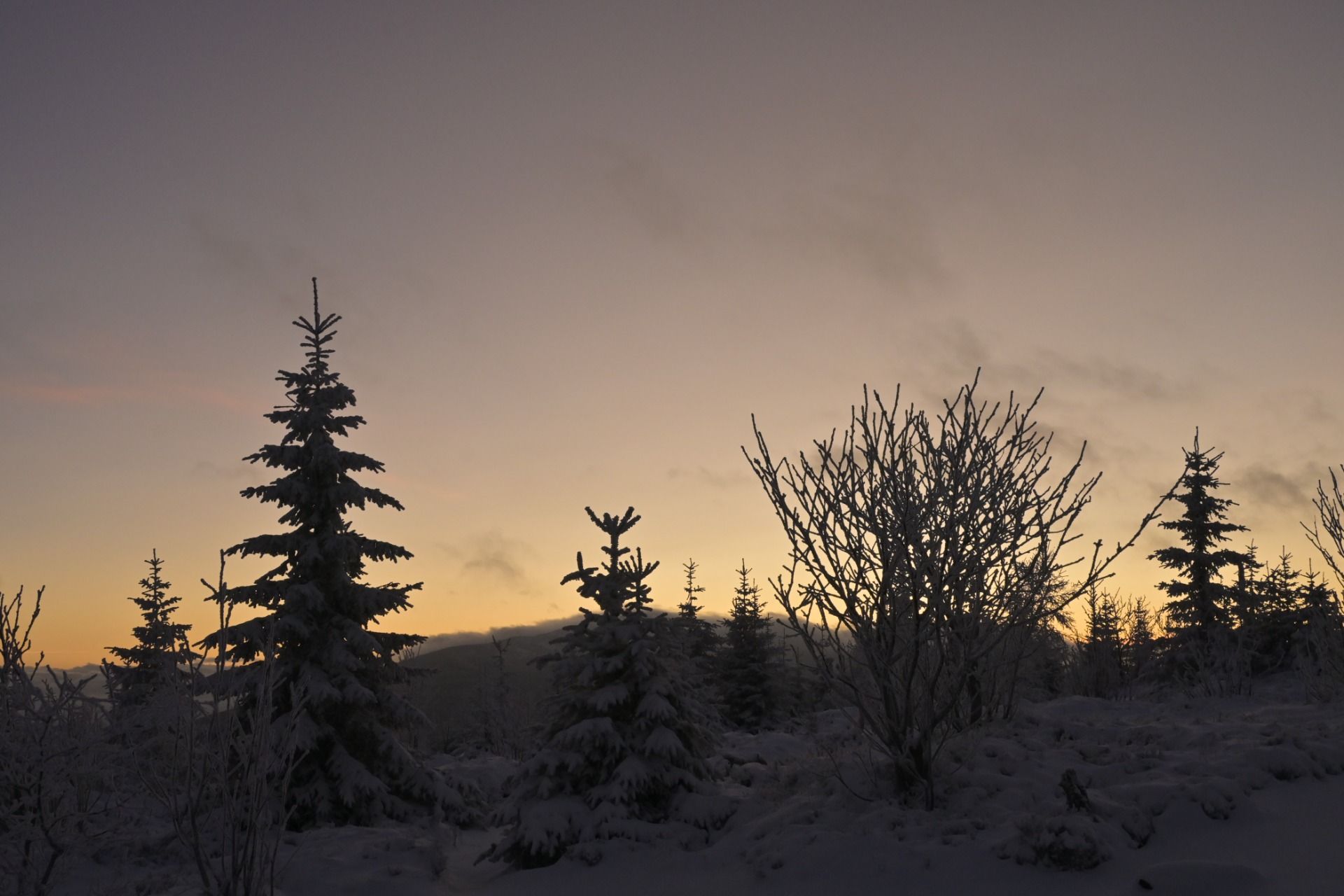 _DSC5025.JPG