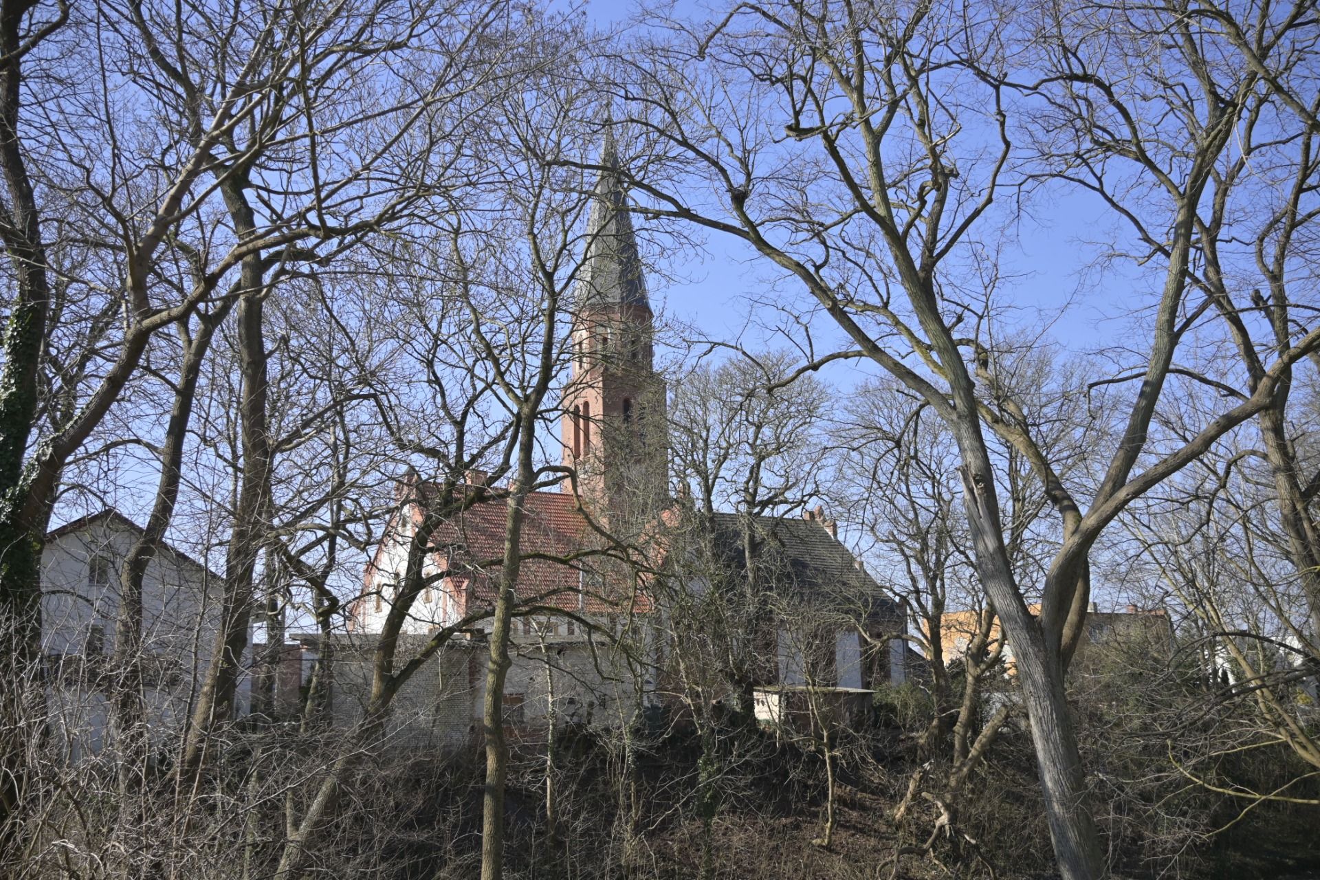 _DSC6160.JPG