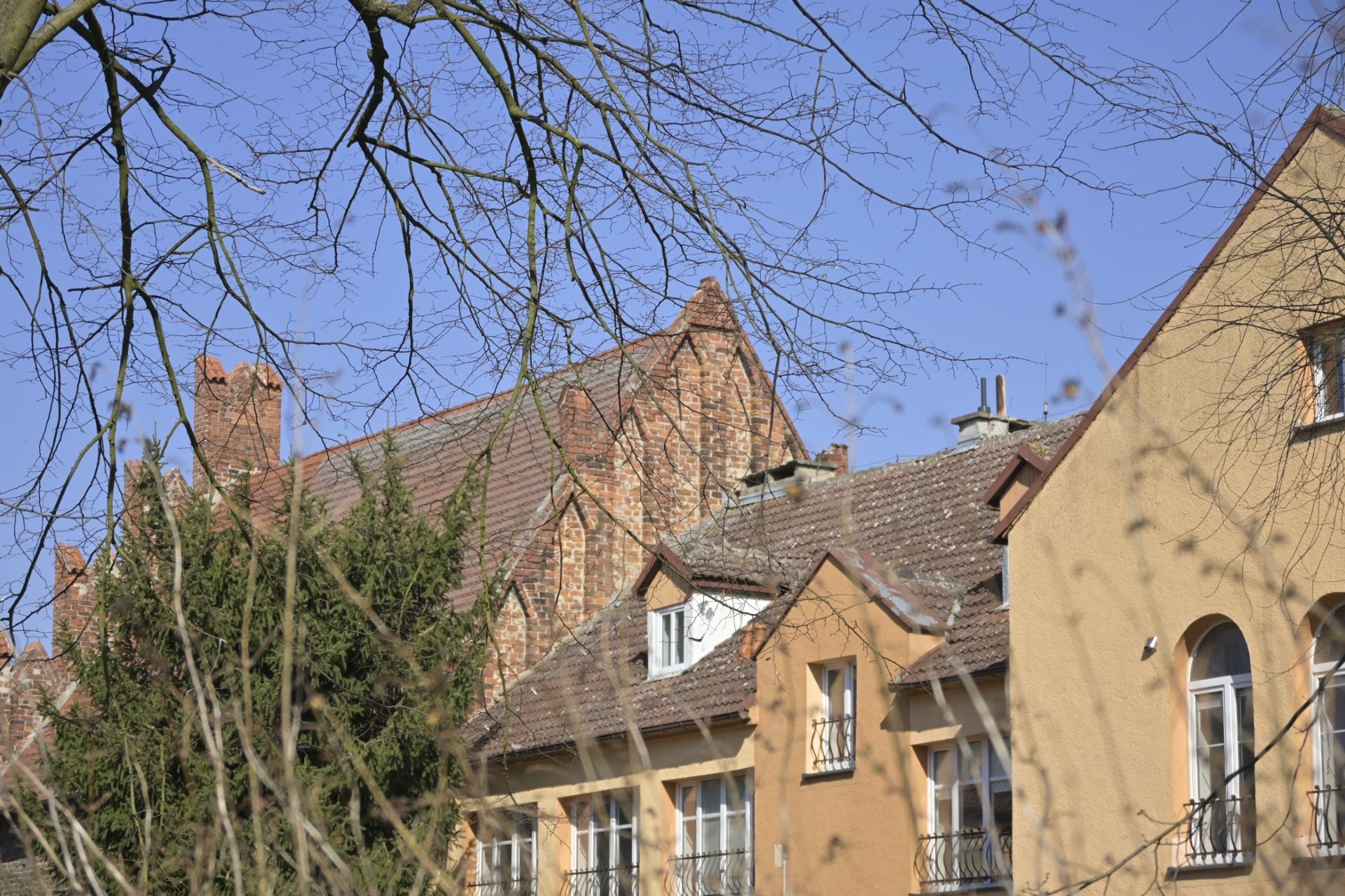 _DSC6162.JPG