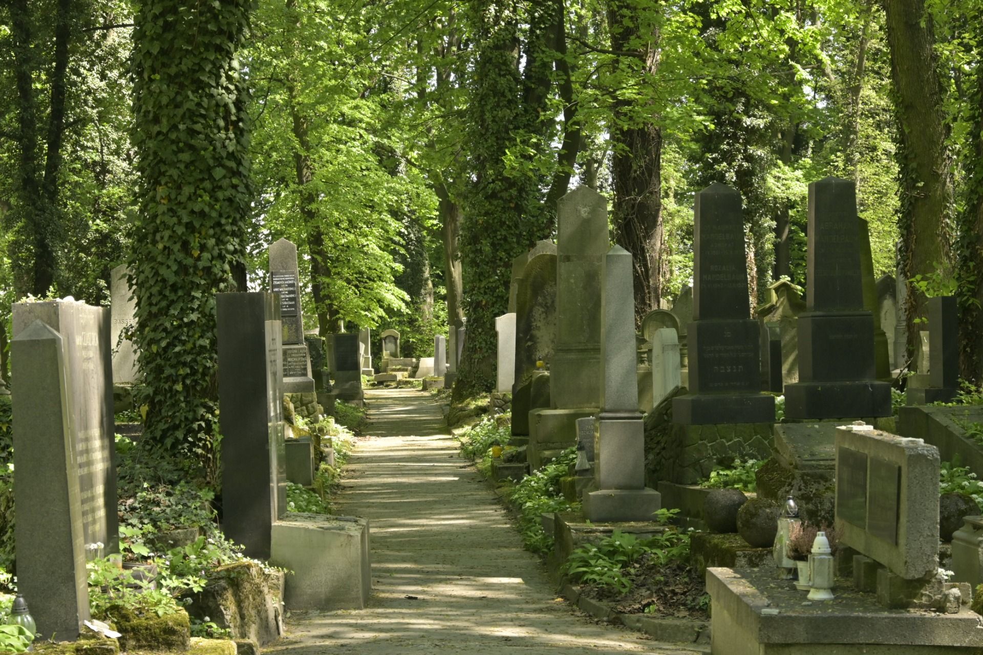 New Jewish Cemetery, Kraków