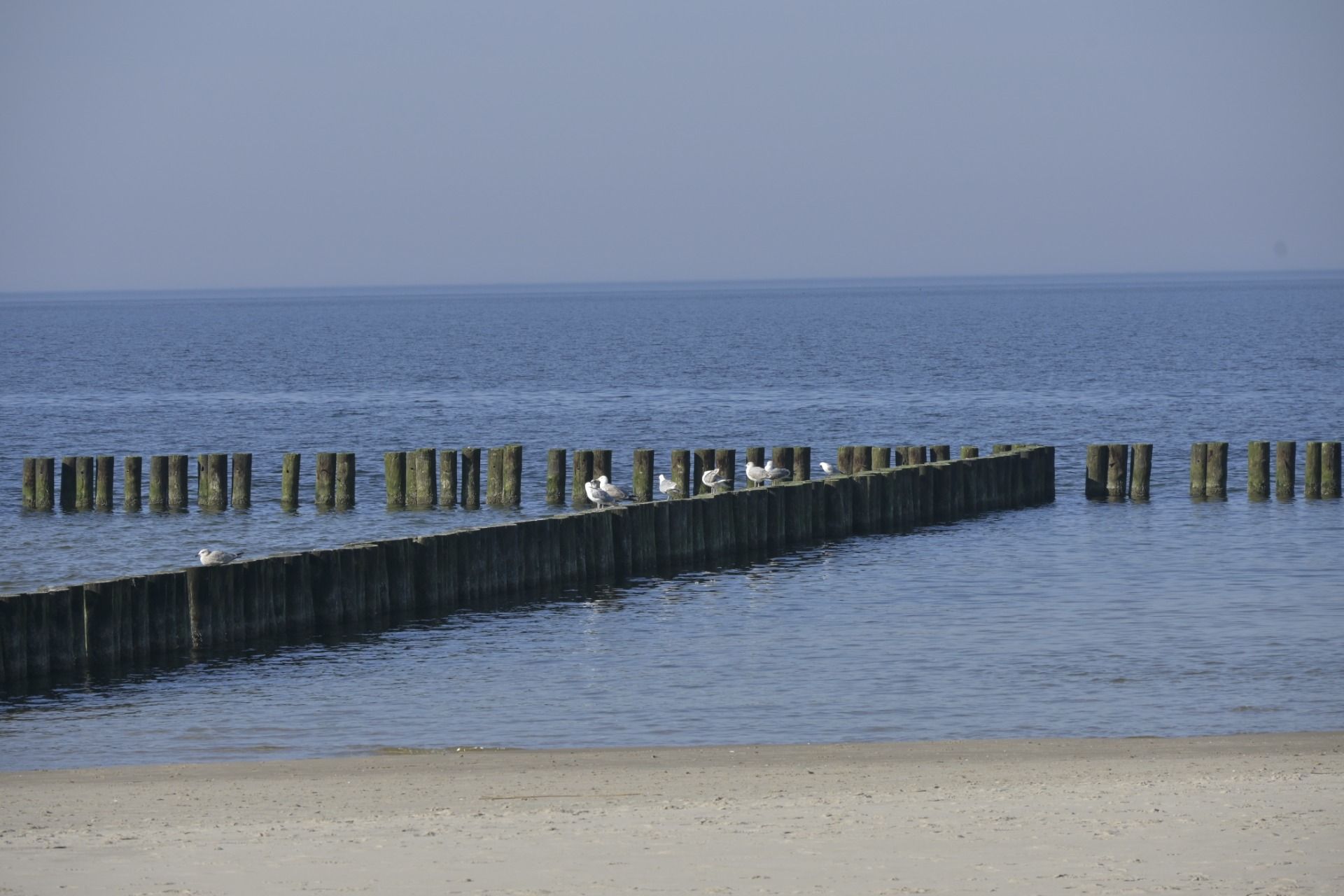 _DSC6087 — kopia.JPG