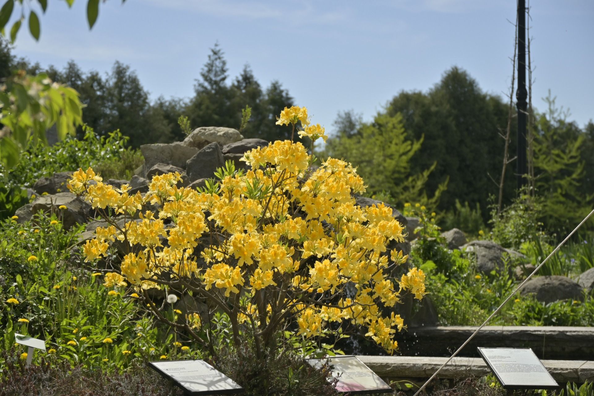 _DSC7394.JPG