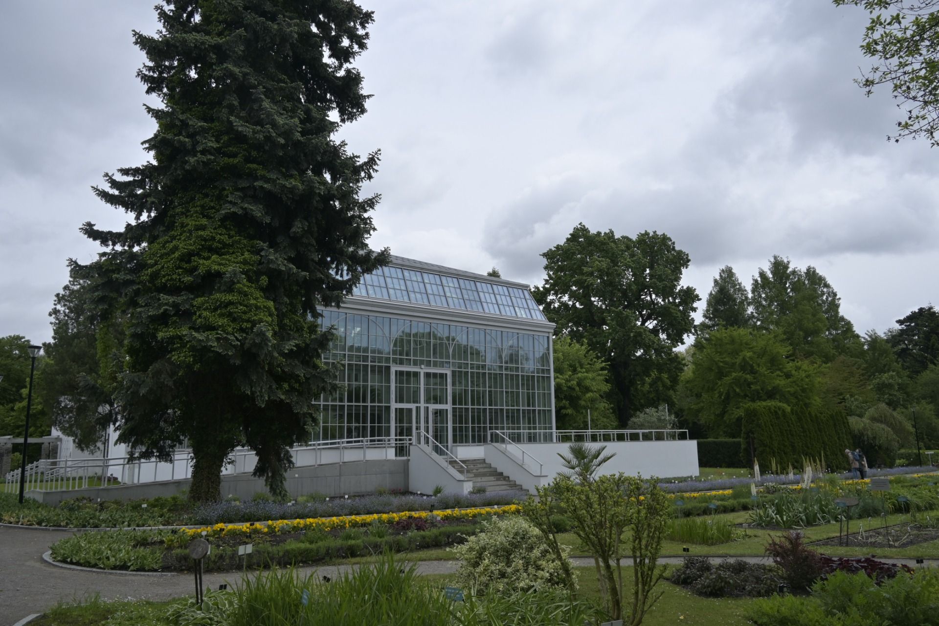 Krakow Botanical Garden at the middle of May