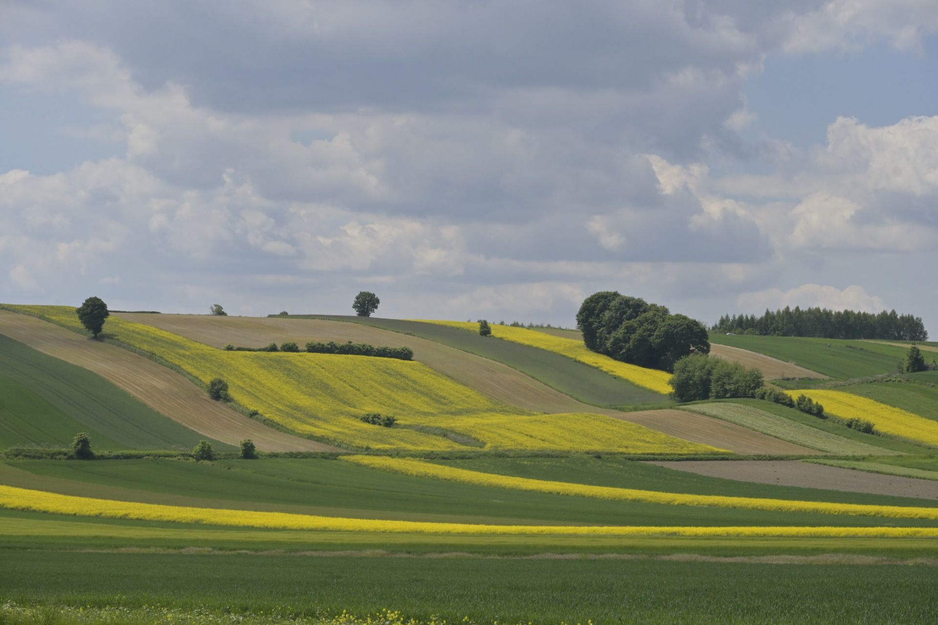 Miechów Upland - Nature 2000 "Wały" at the end of May